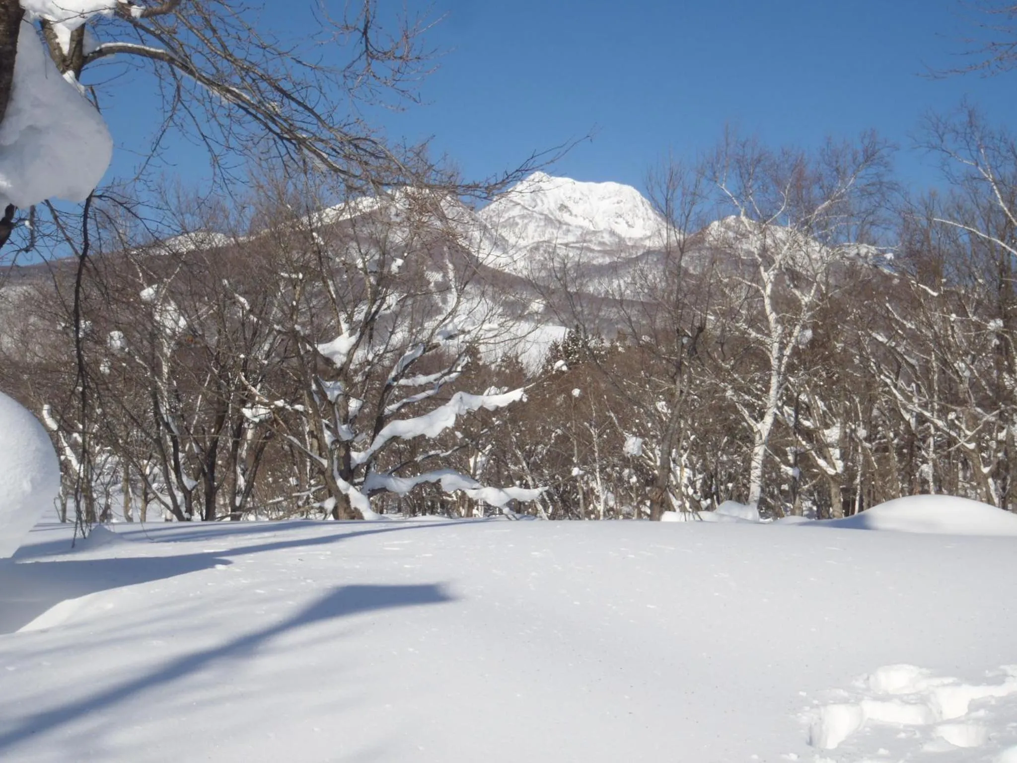 Winter in Mont Cervin Myoko