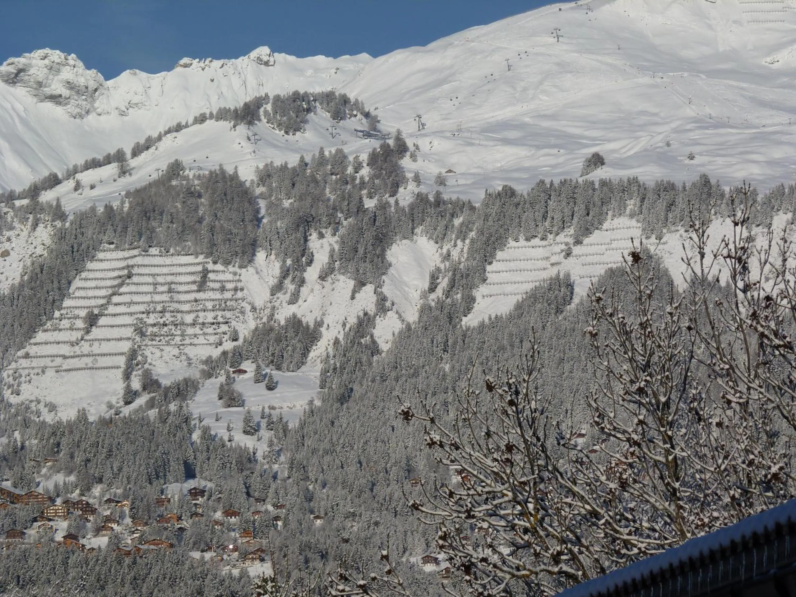 View (from property/room) in Chalet des Alpes