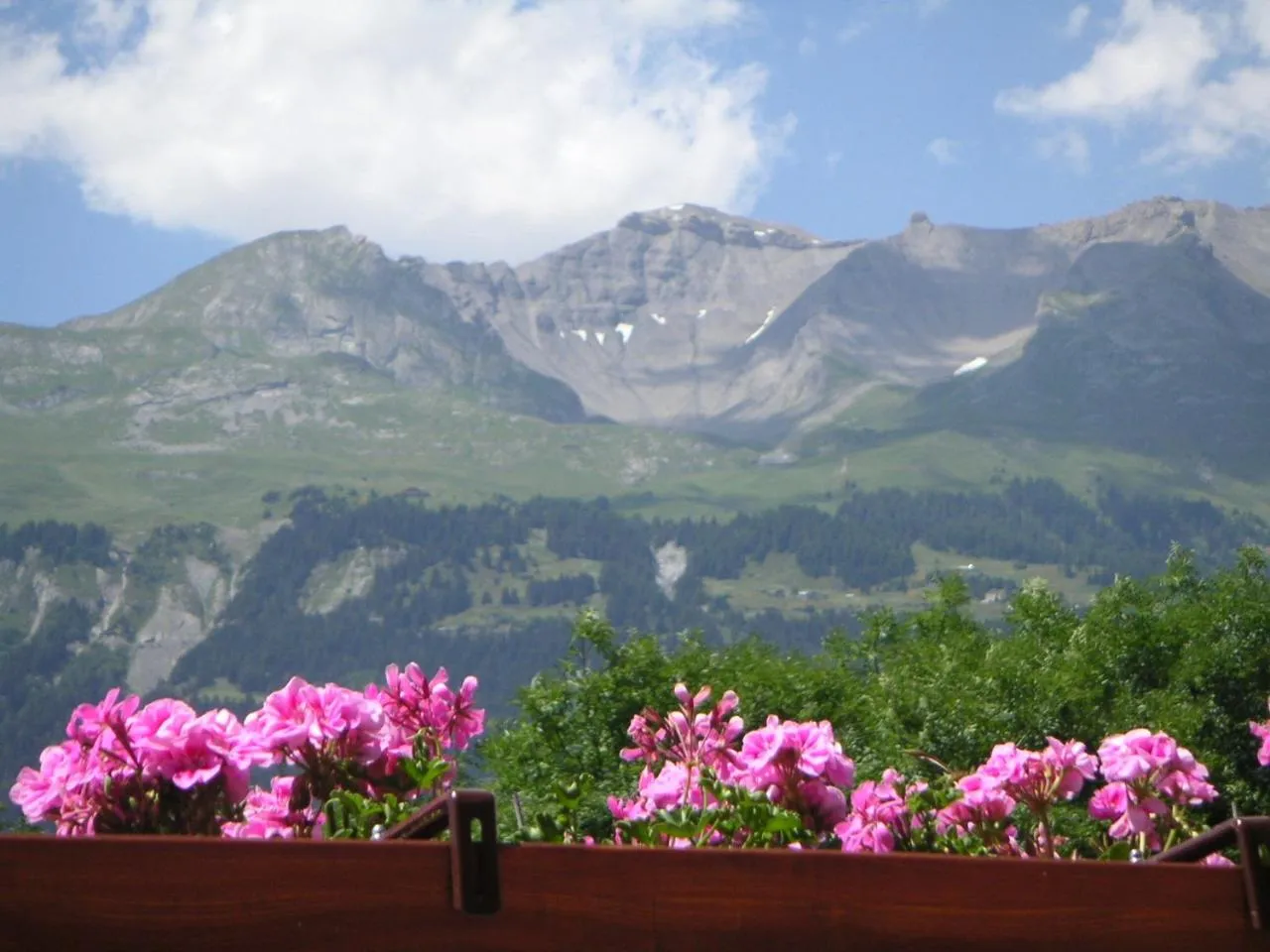 Mountain view in Chalet des Alpes