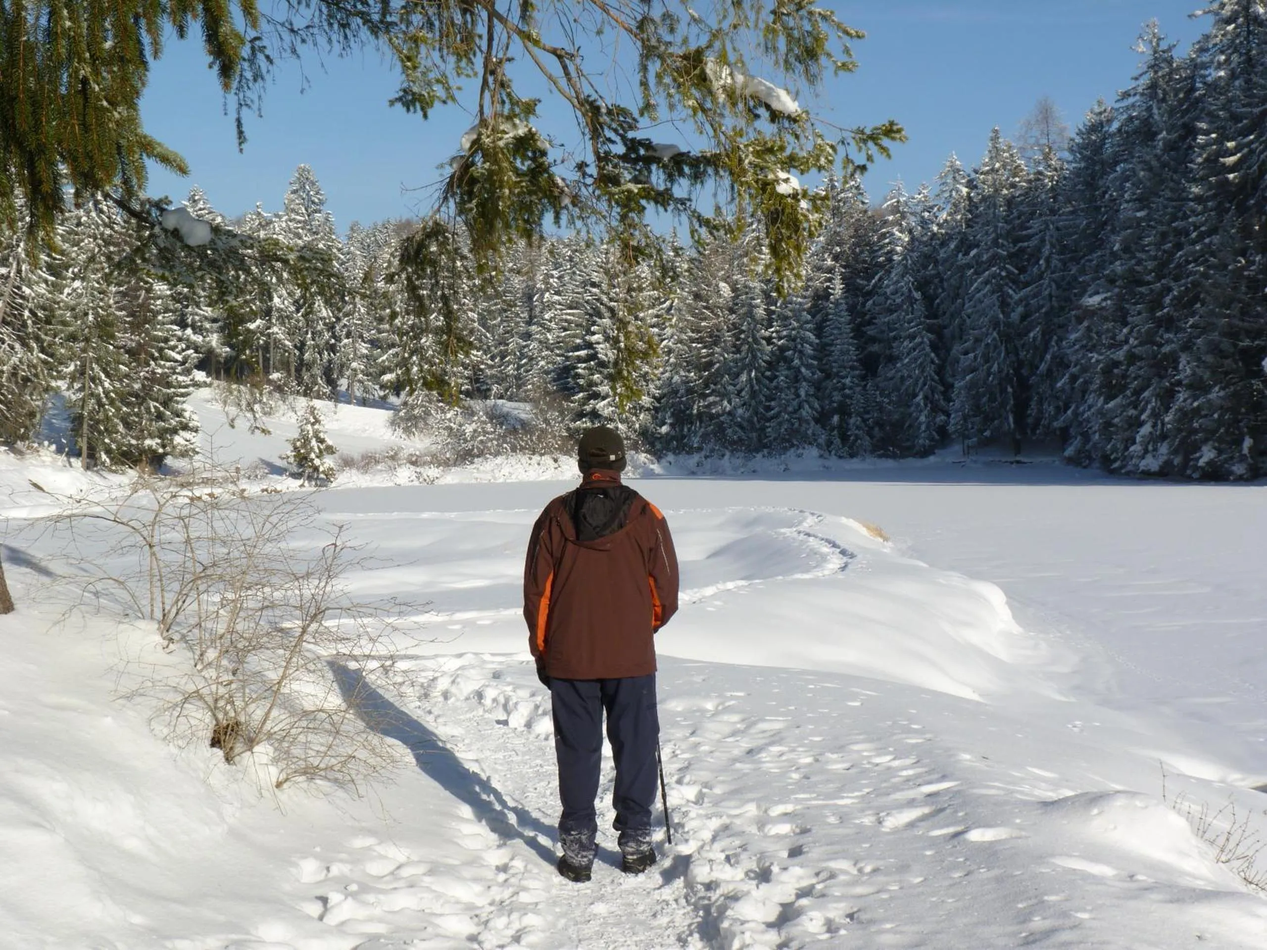 Hiking in Chalet des Alpes