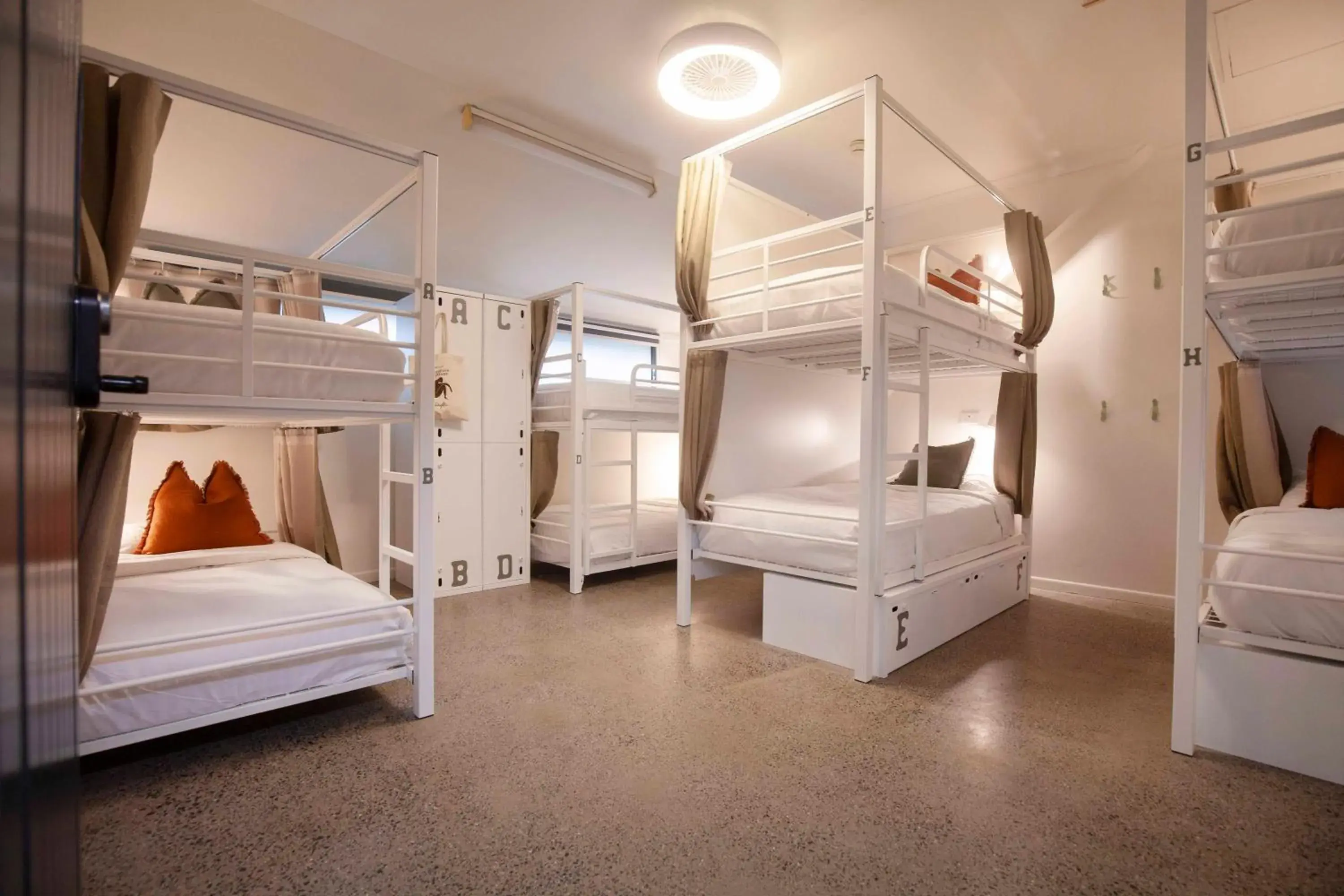 8 Bed Private room in Little Drifter Cairns 8 Bed Private room in Little Drifter Cairns