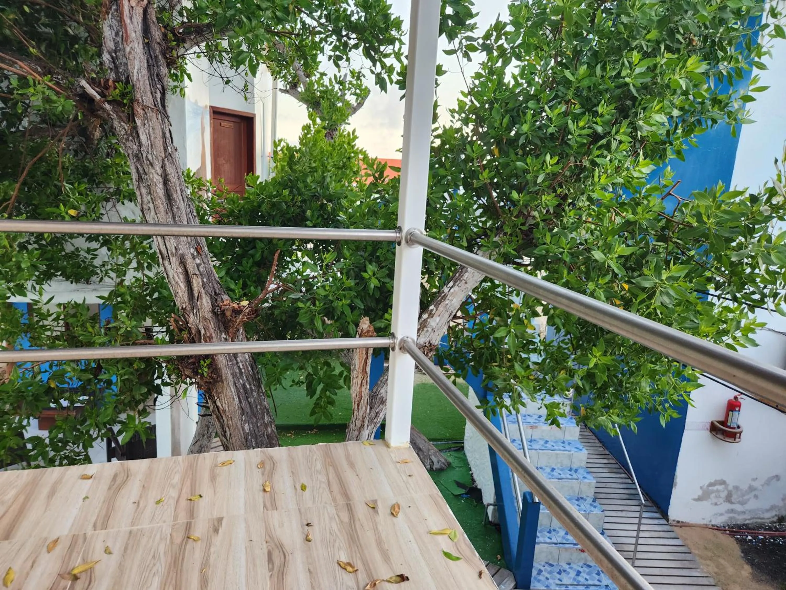 View (from property/room) in Hotel La Jungla