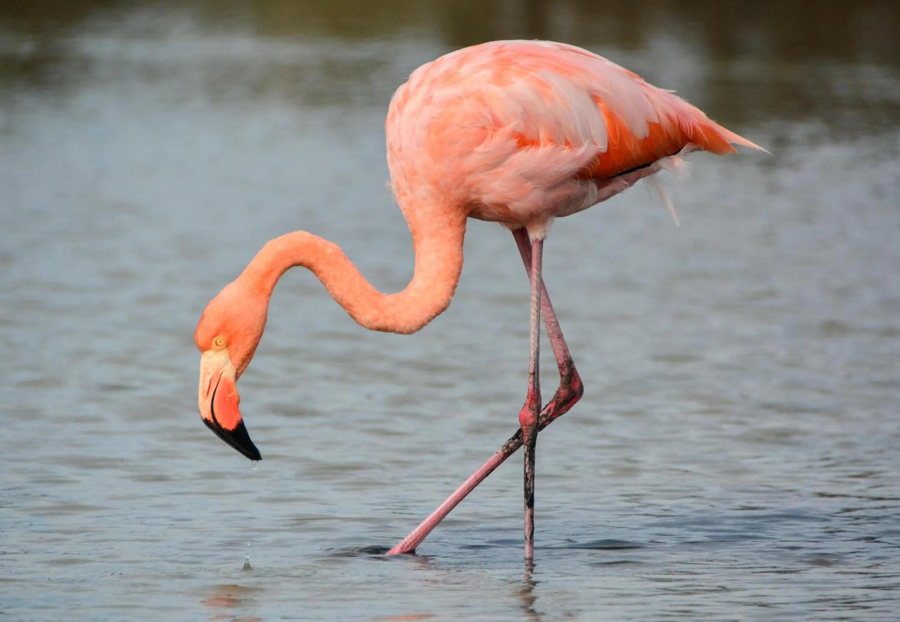 Off site in Hotel La Jungla