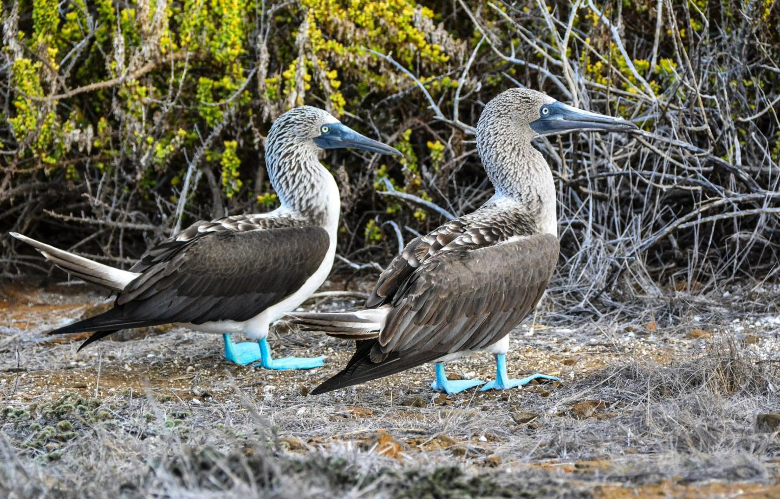 Off site in Hotel La Jungla