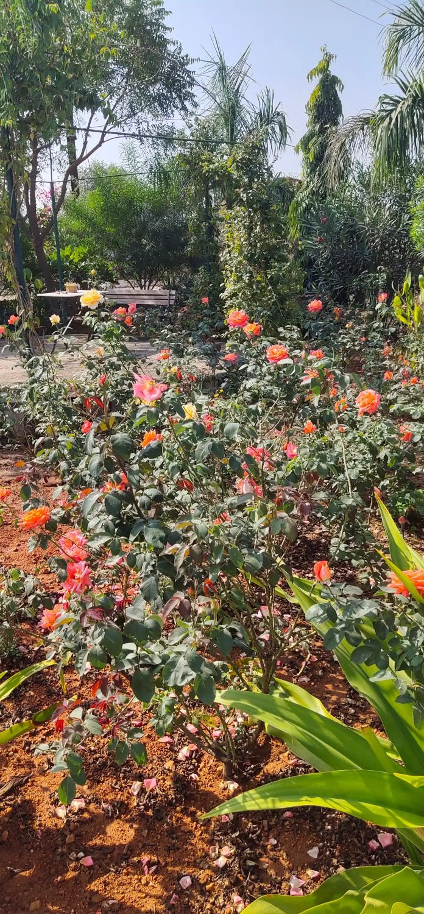 lalita homestay countryside