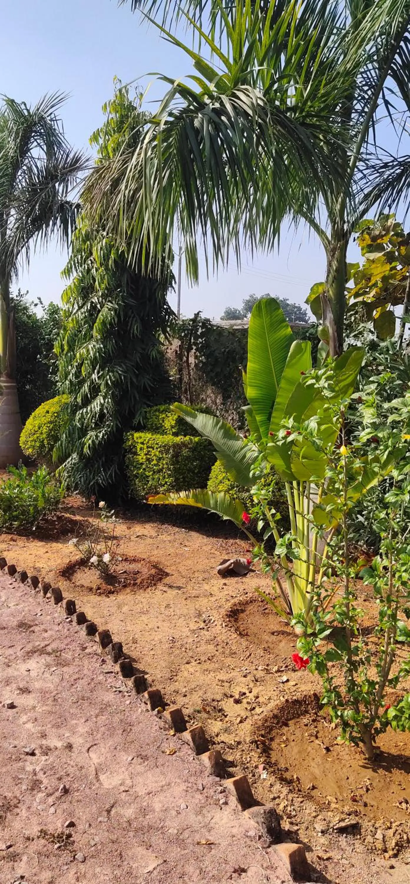 lalita homestay countryside