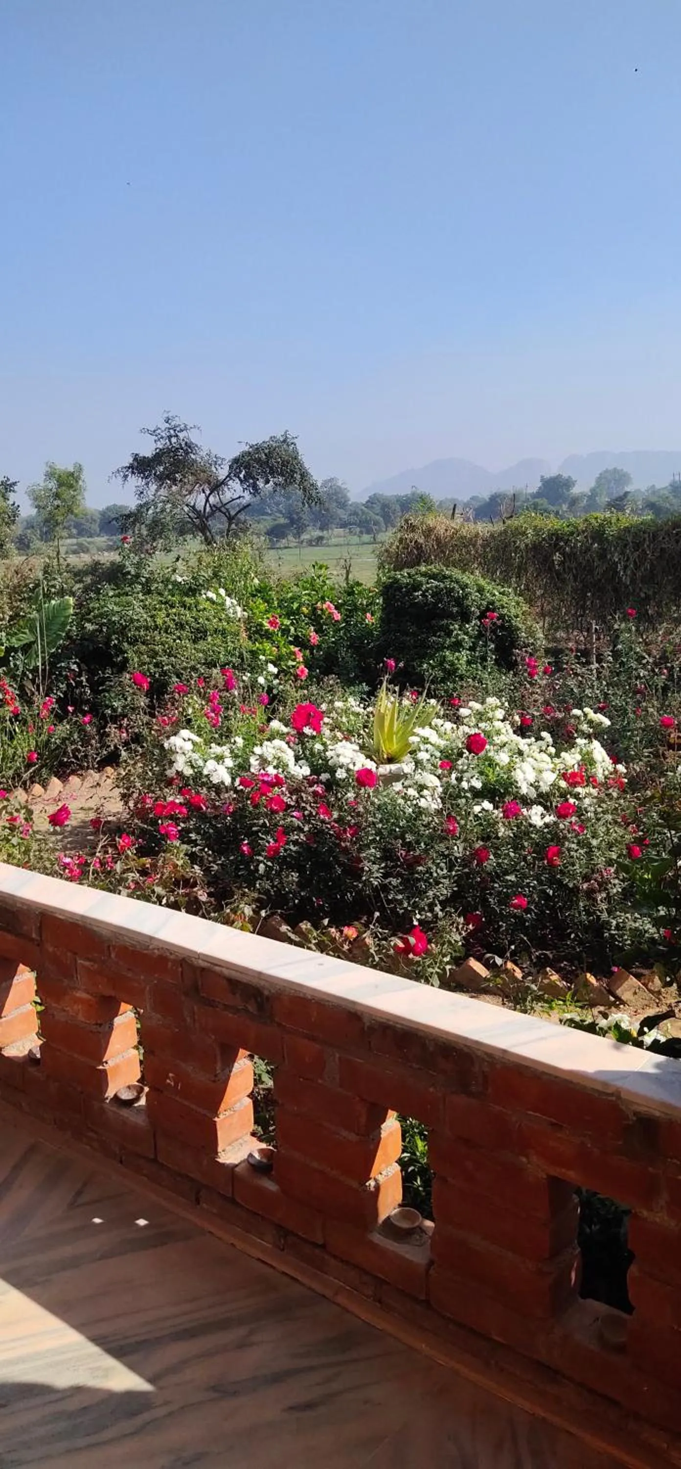 lalita homestay countryside