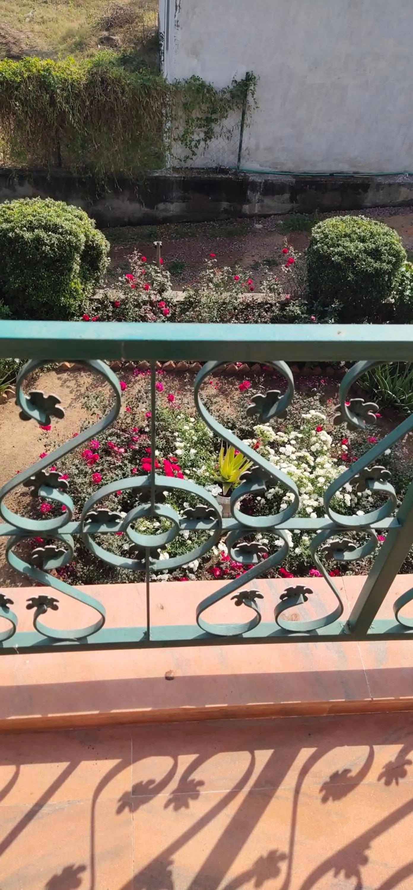 lalita homestay countryside