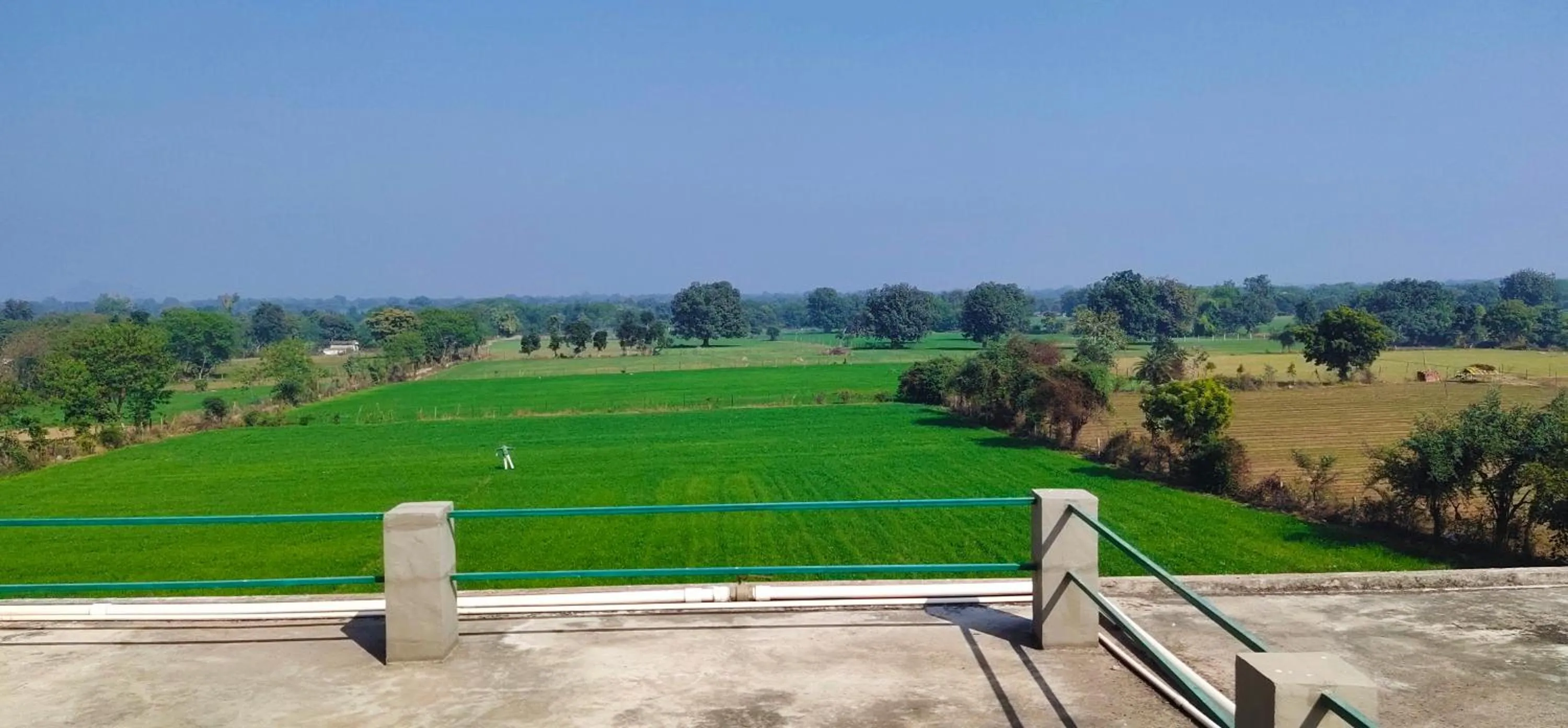 lalita homestay countryside