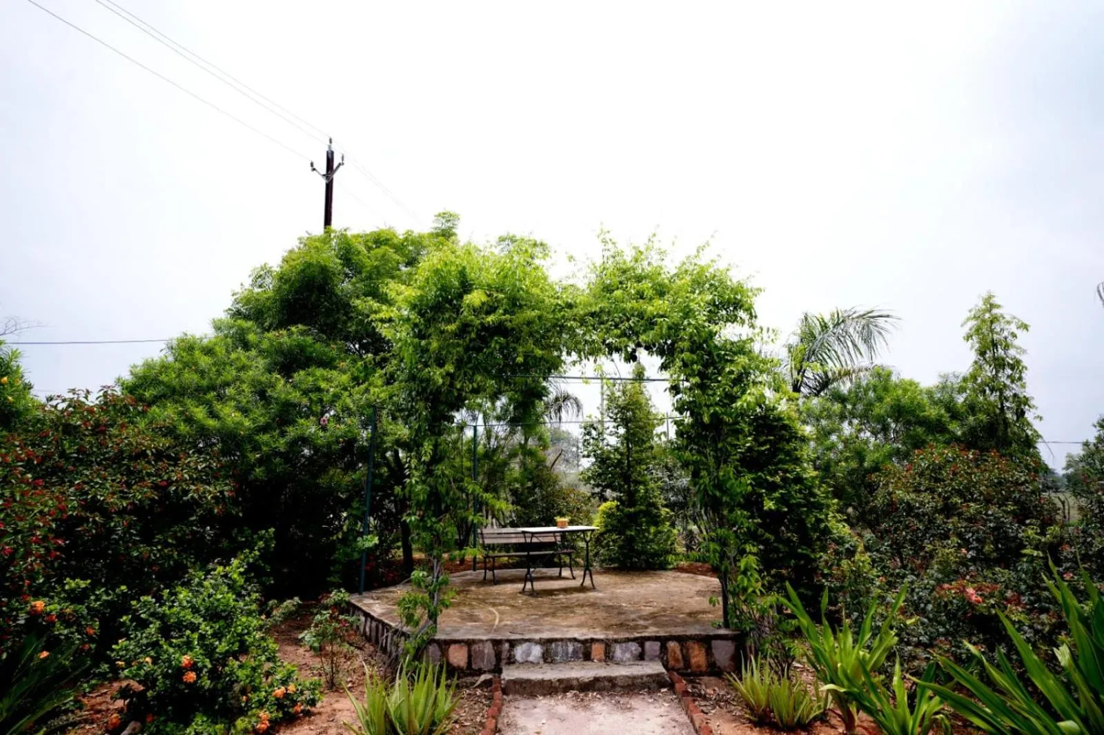 lalita homestay countryside