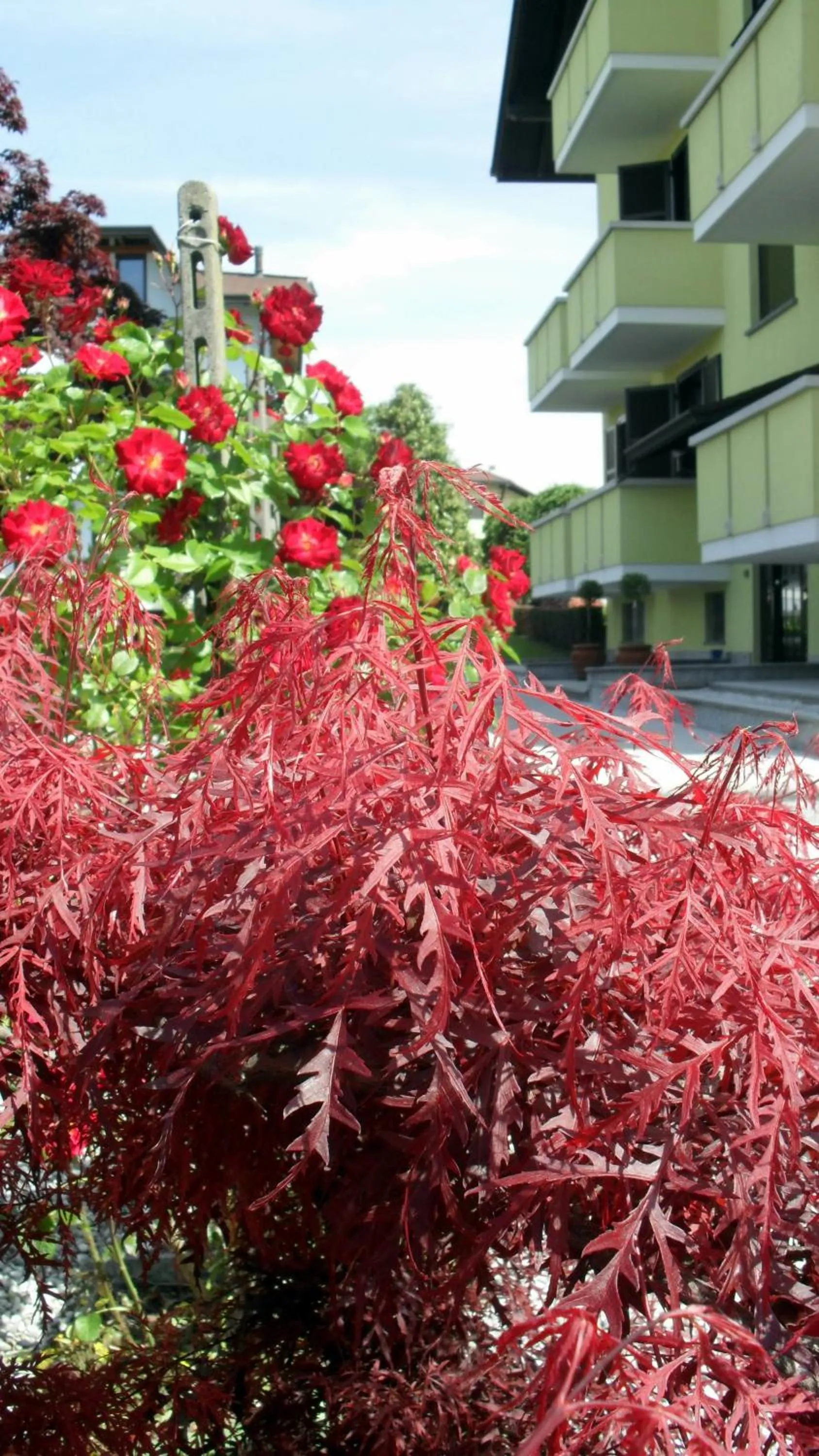 Other in Albergo Residence Isotta