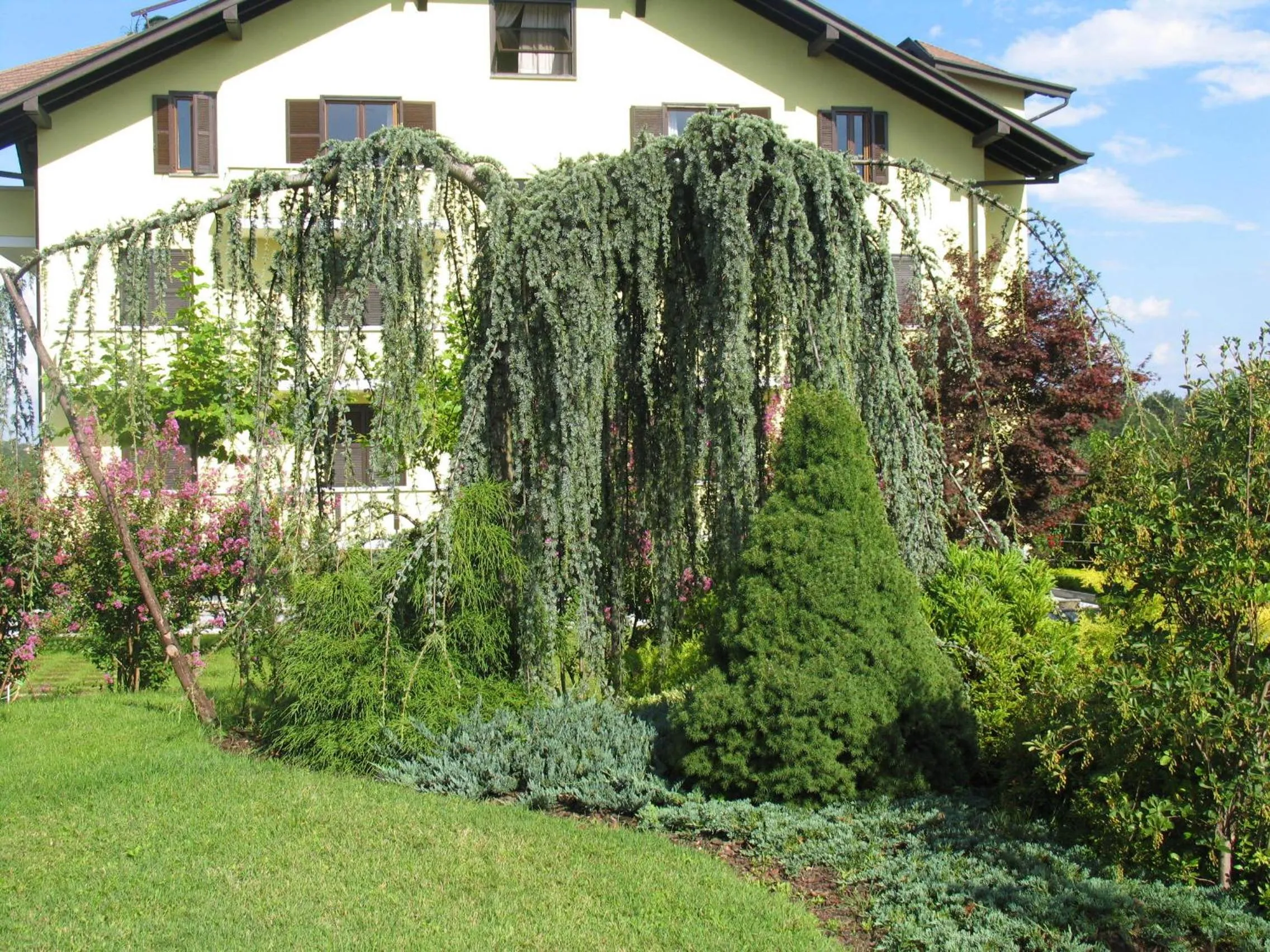 Other in Albergo Residence Isotta