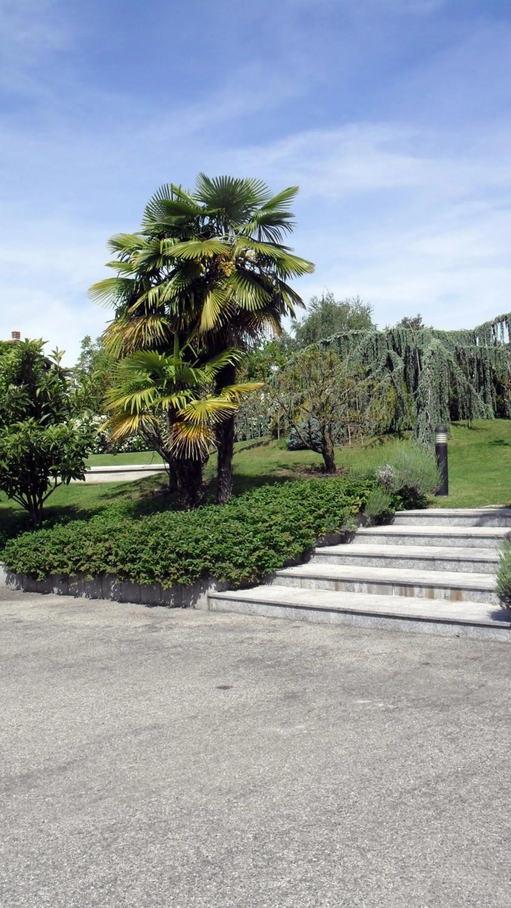 Other in Albergo Residence Isotta