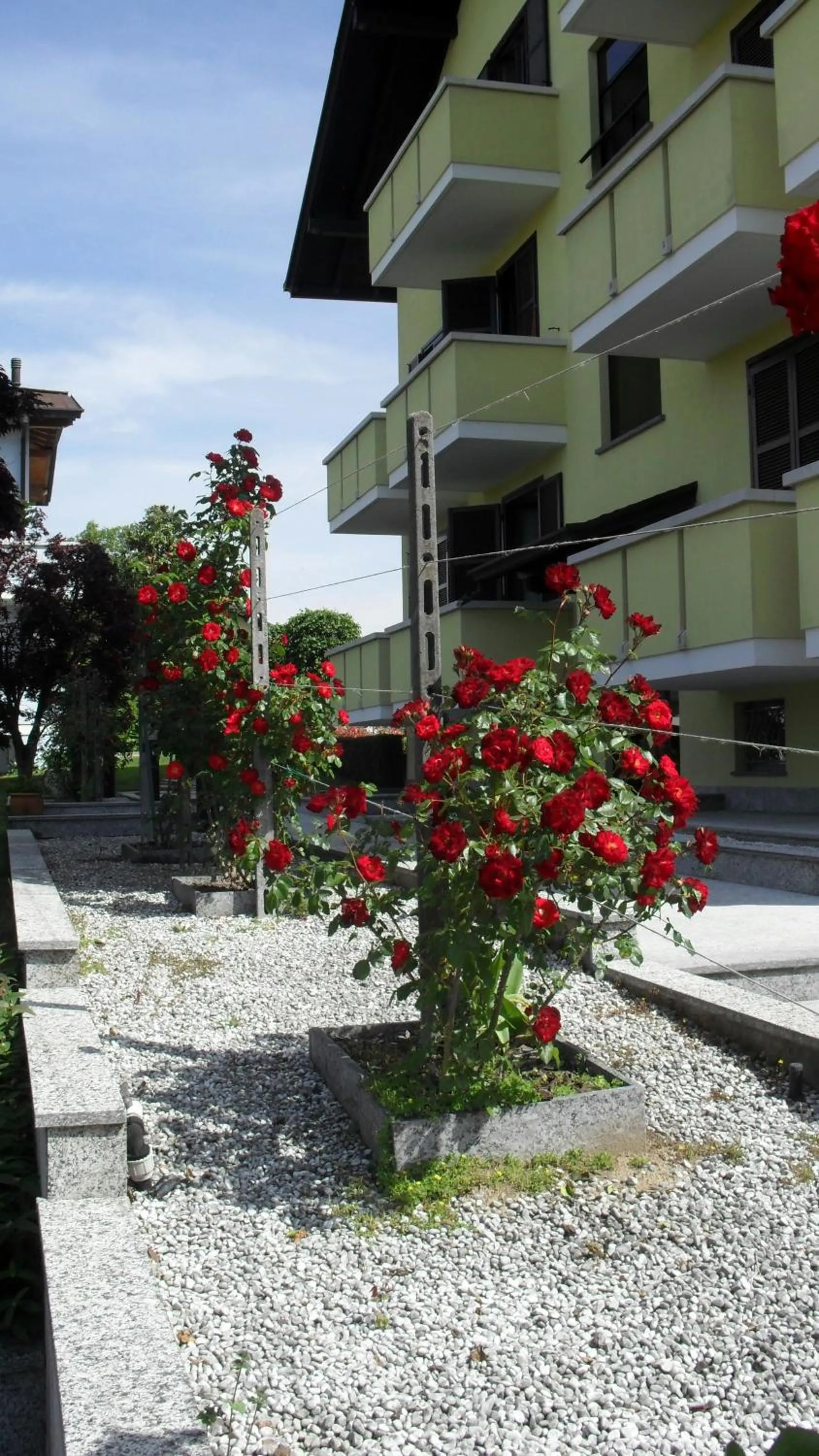 Other in Albergo Residence Isotta