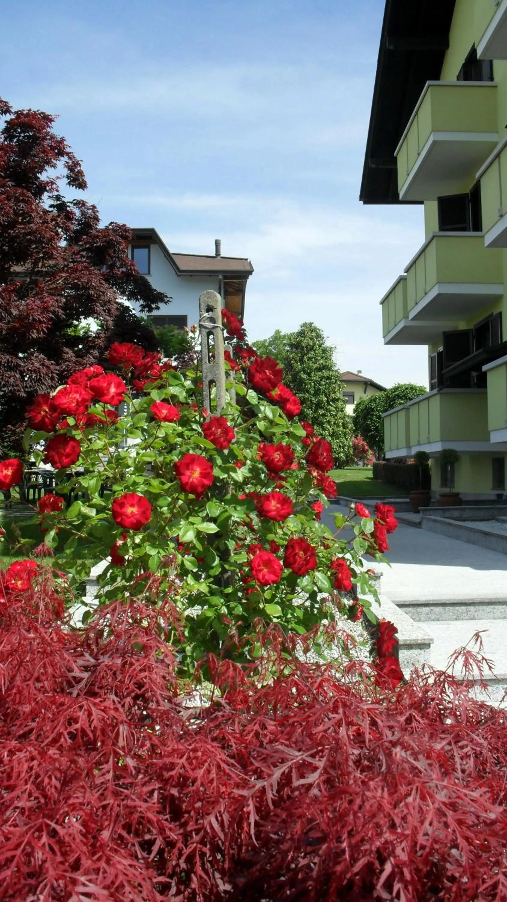 Other in Albergo Residence Isotta