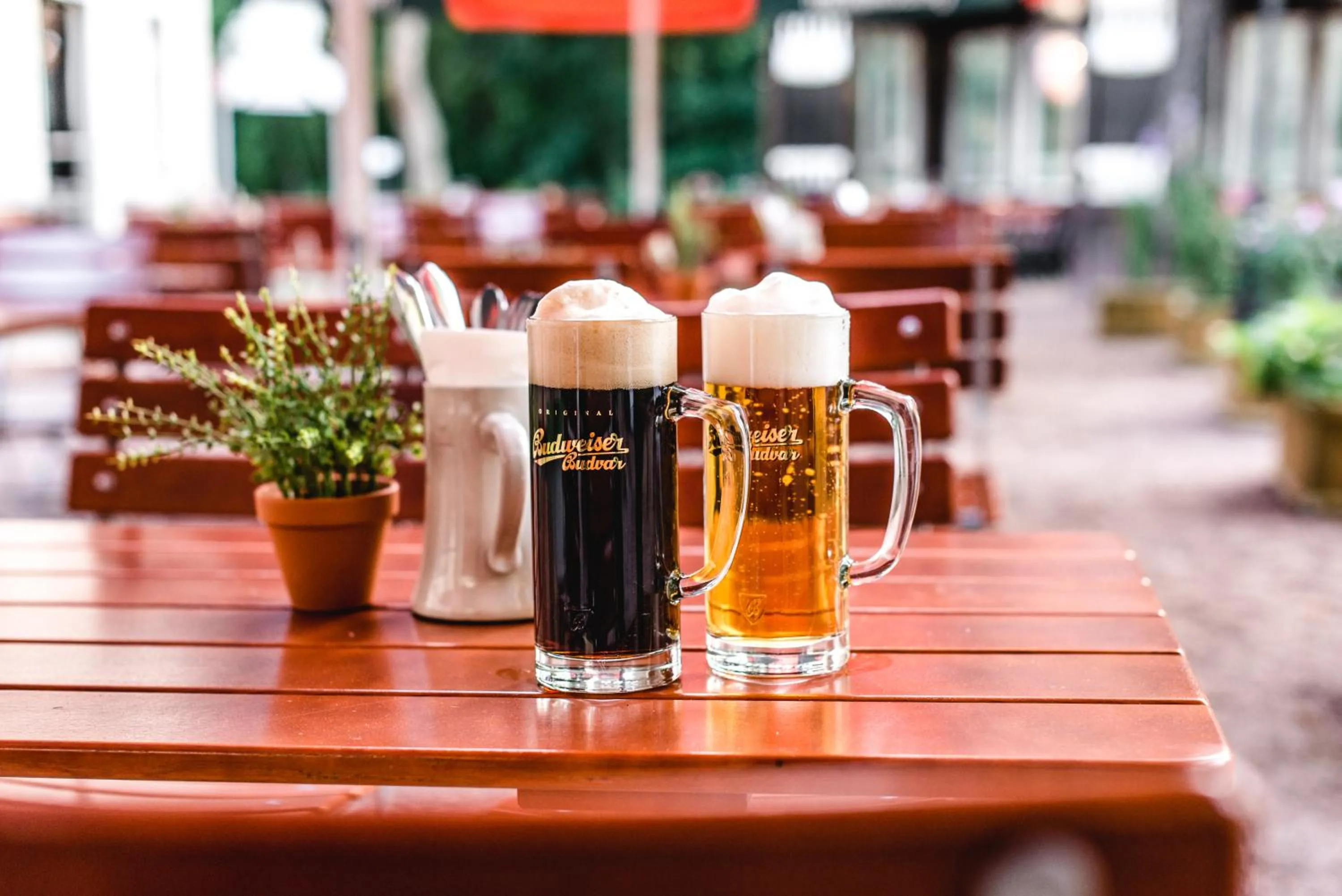 Drinks in Historische Spitzgrundmühle
