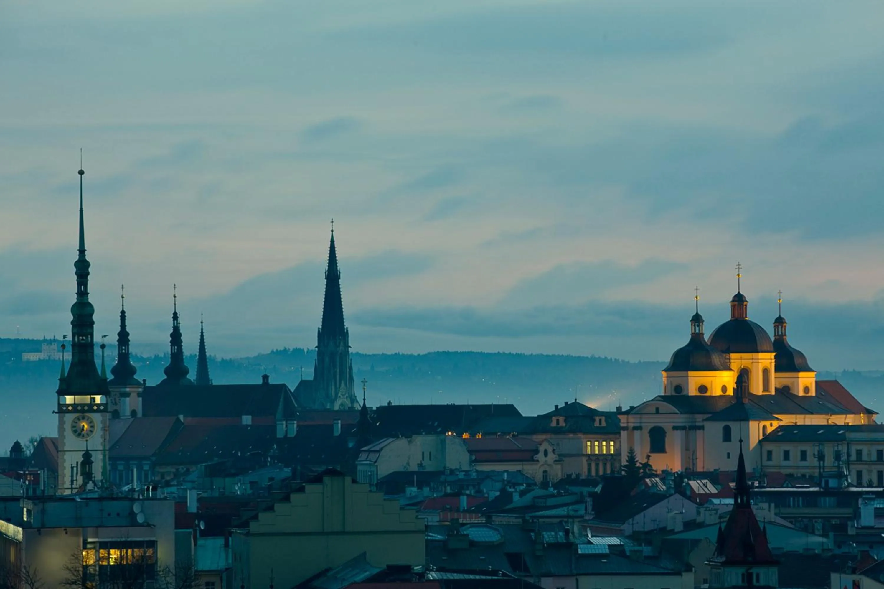 City view in CENTRAL PARK FLORA