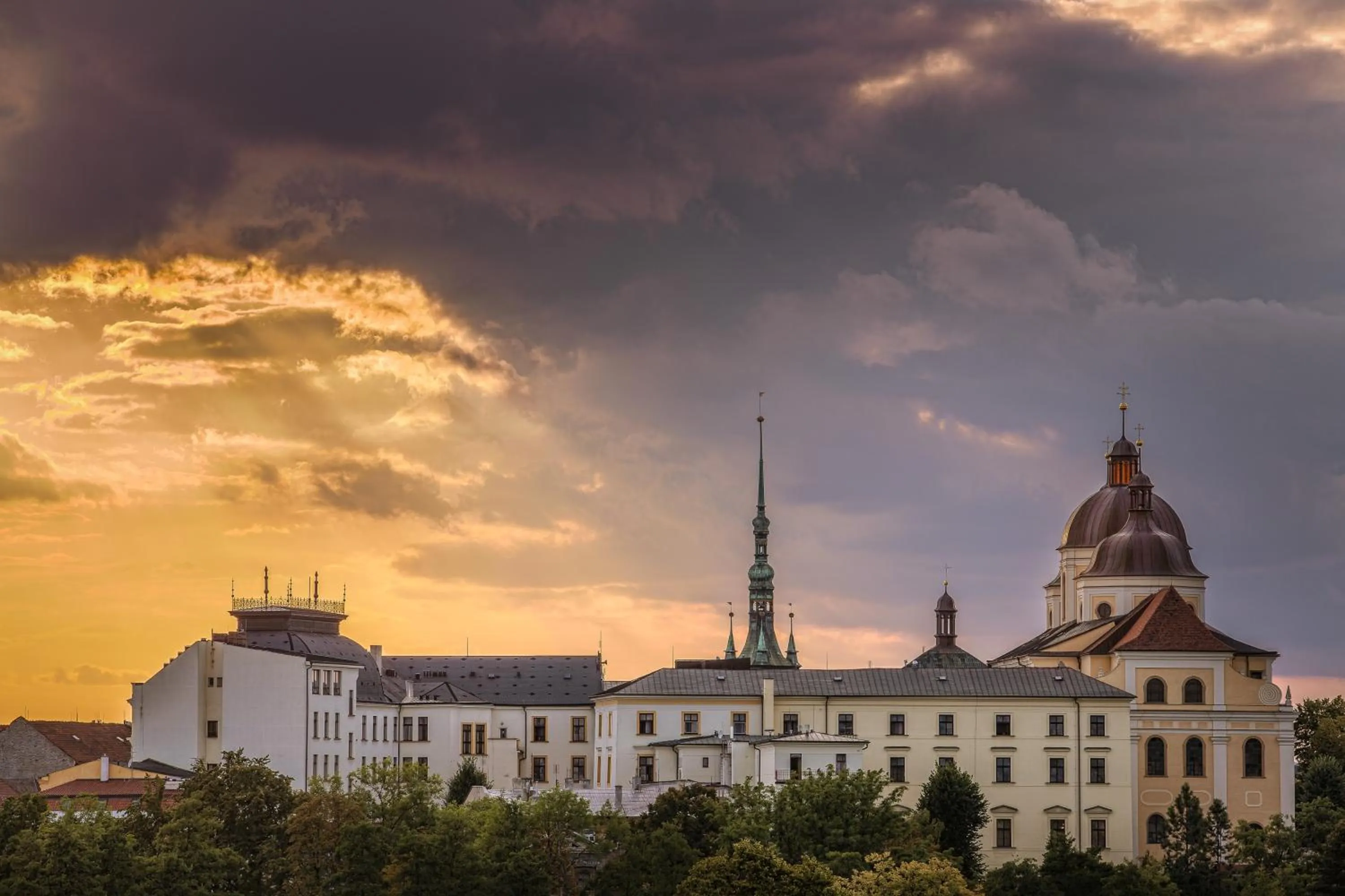 Off site in CENTRAL PARK FLORA