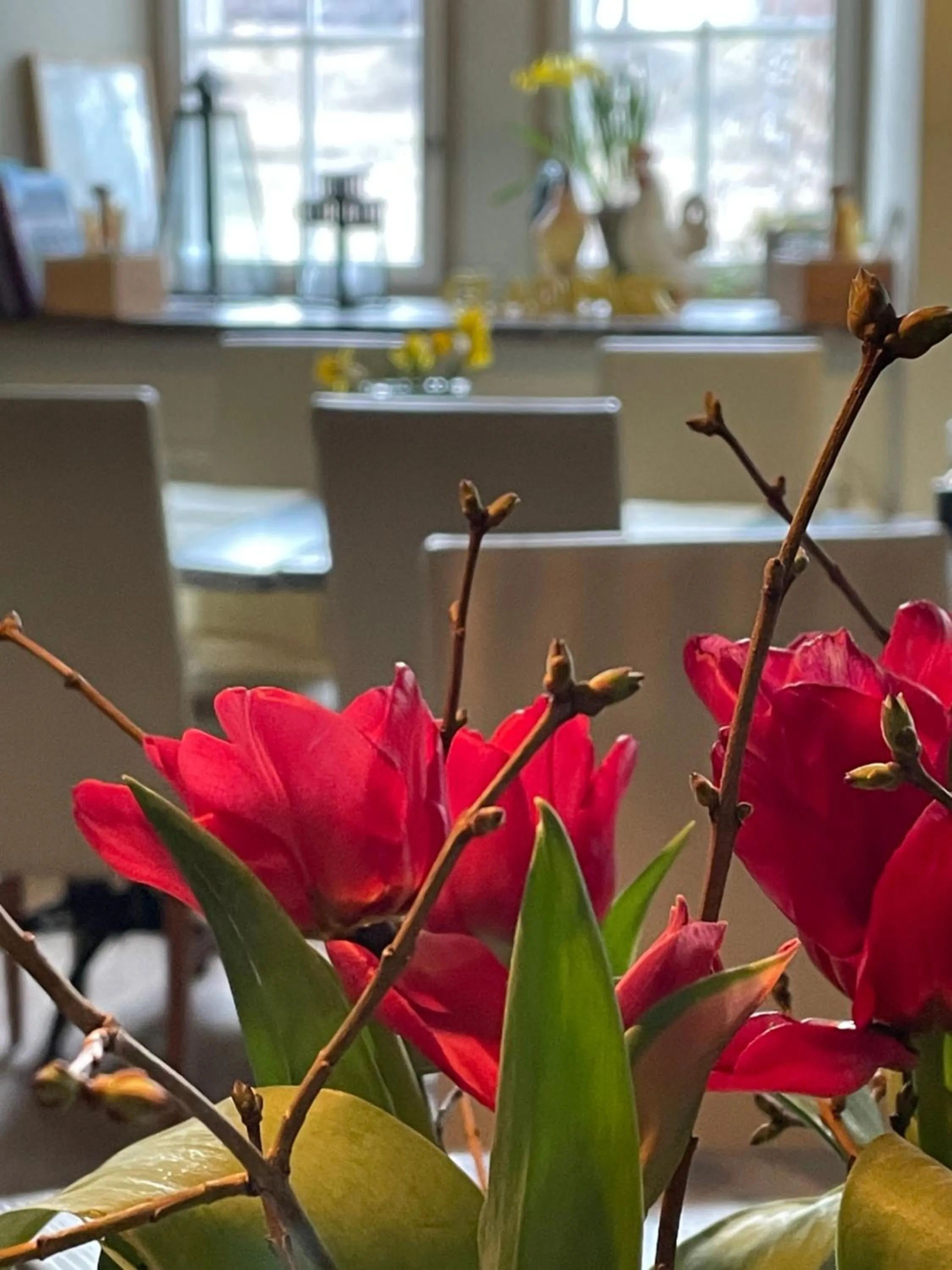 Restaurant/places to eat in Kvarnen i Borgvik