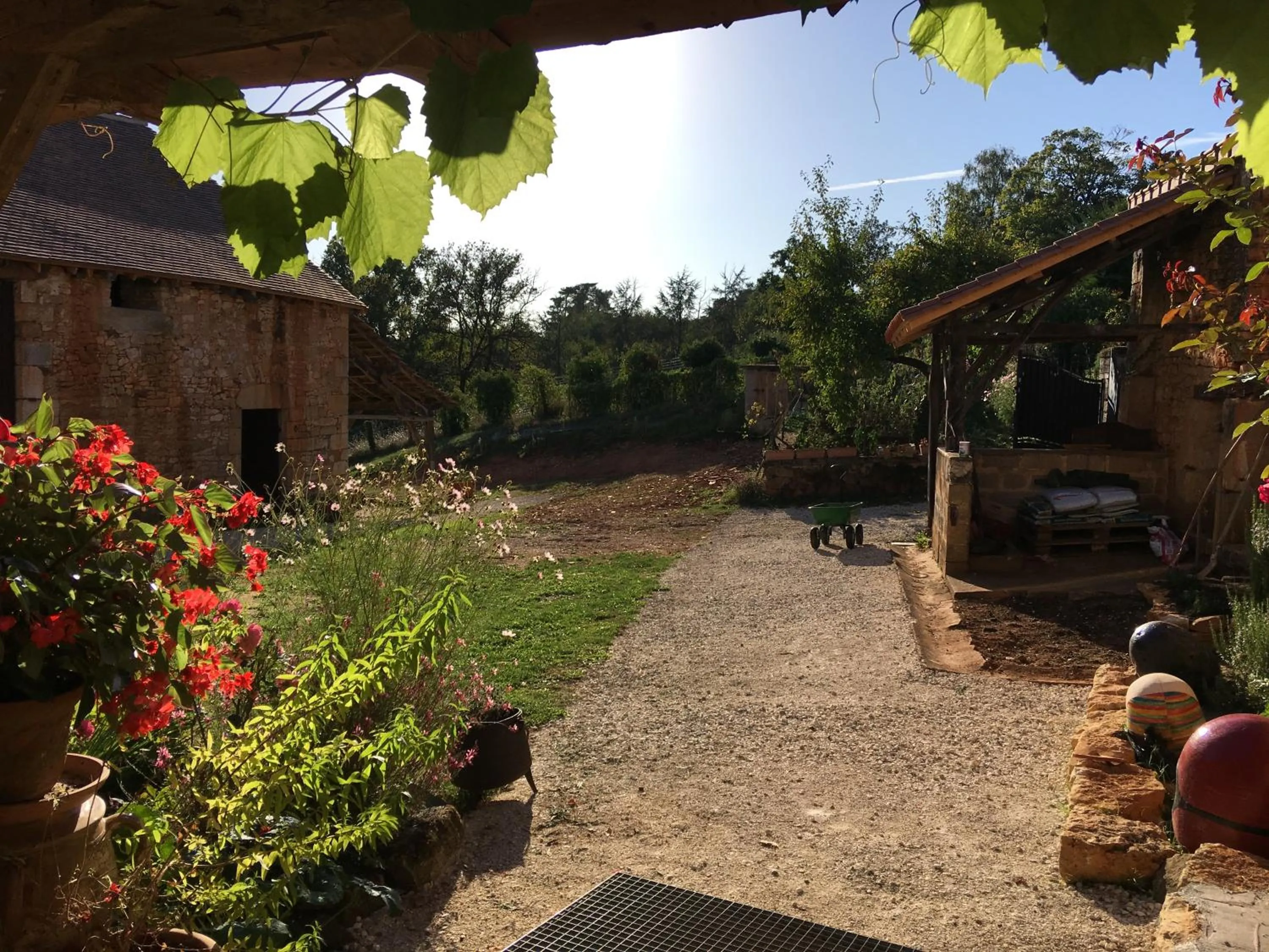 Patio in Le canard enchanté