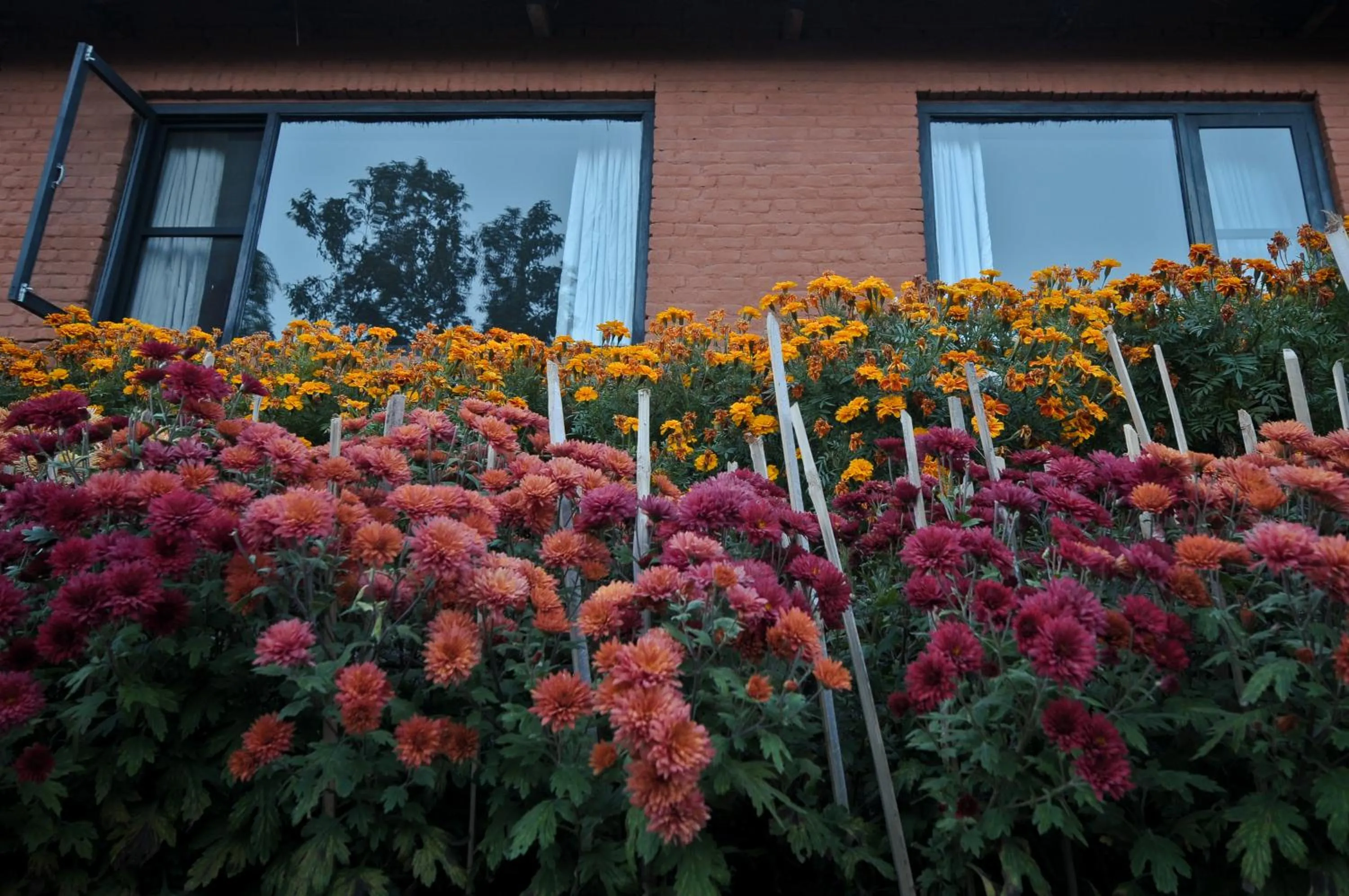 Other in Dhulikhel Mountain Resort