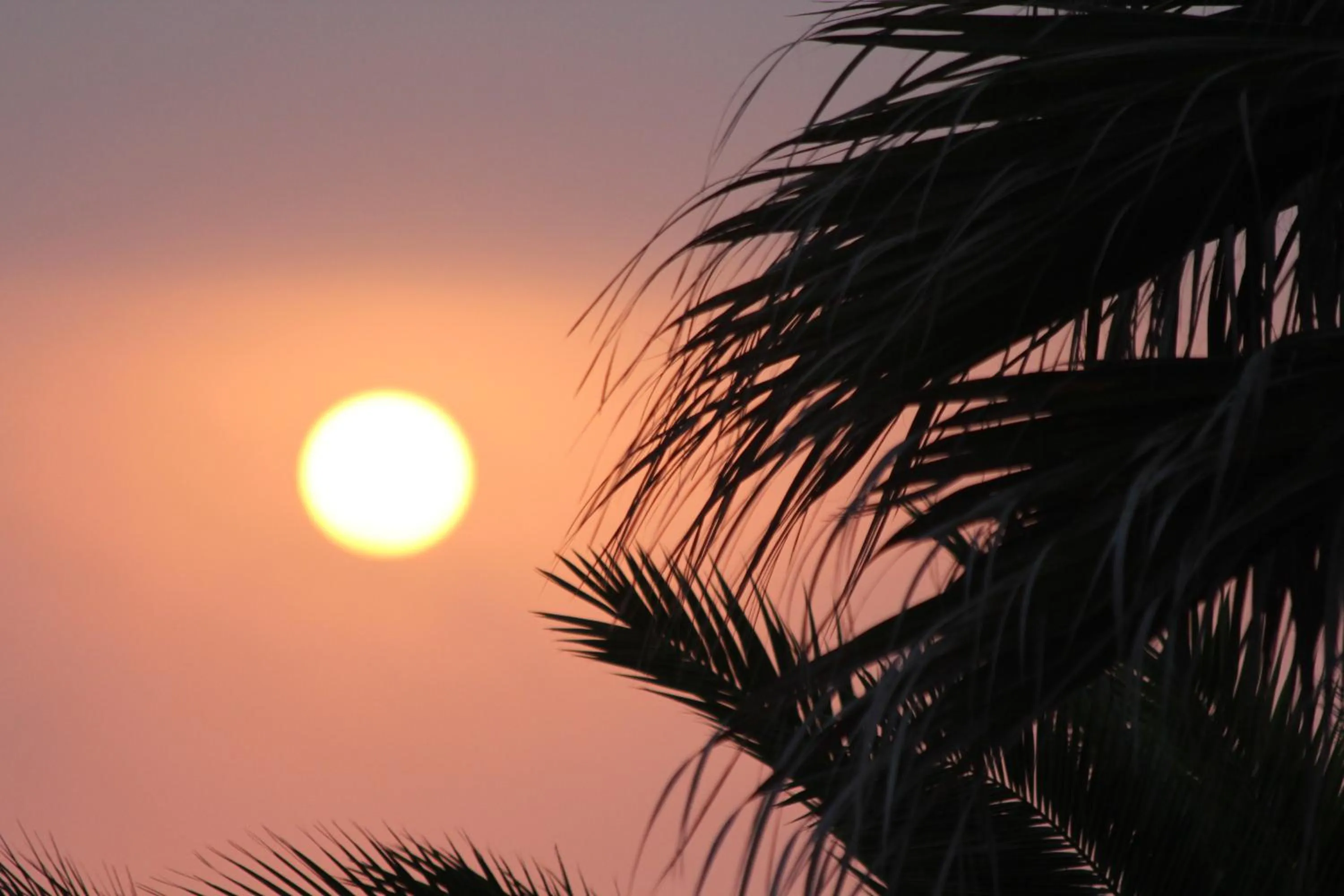 Facade/entrance in Chill in Ericeira Surf House