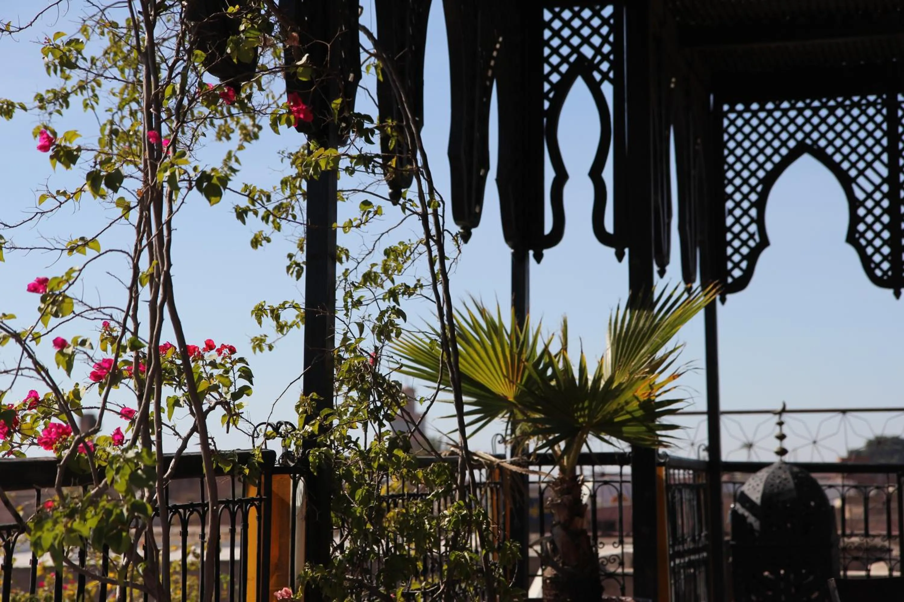 Solarium in Riad Terra Bahia