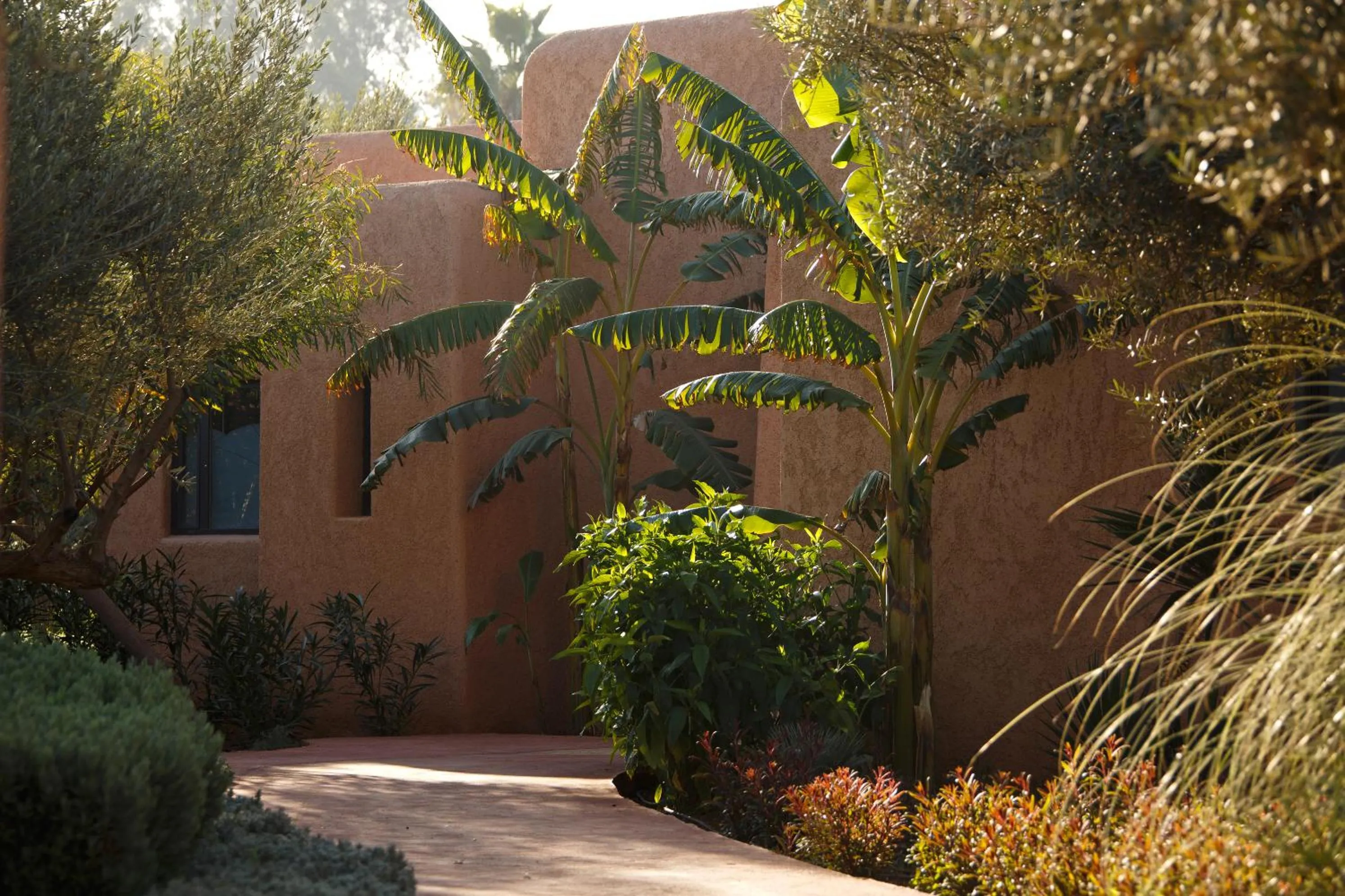 Garden in Oasis lodges