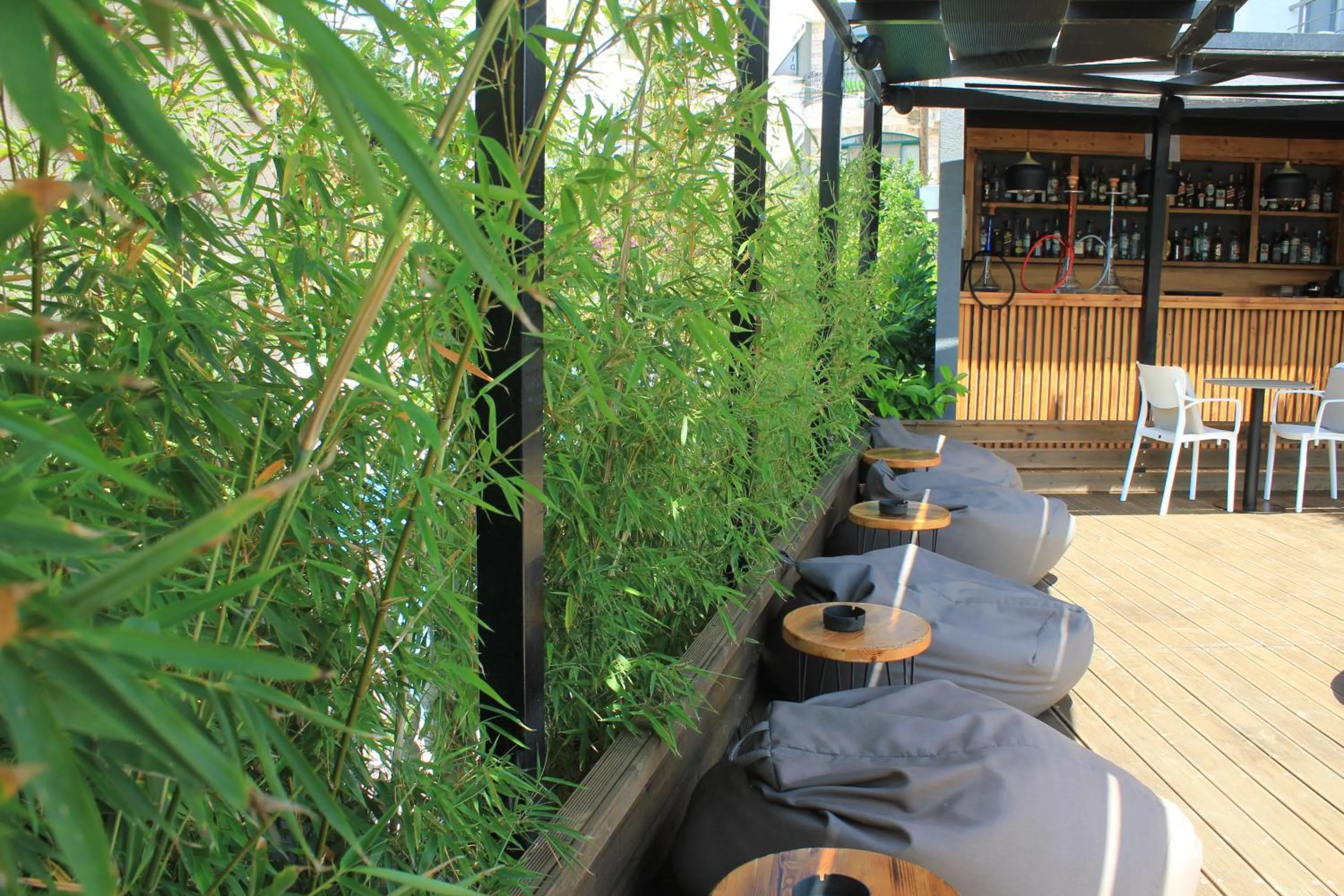 Garden in Hotel Piramida