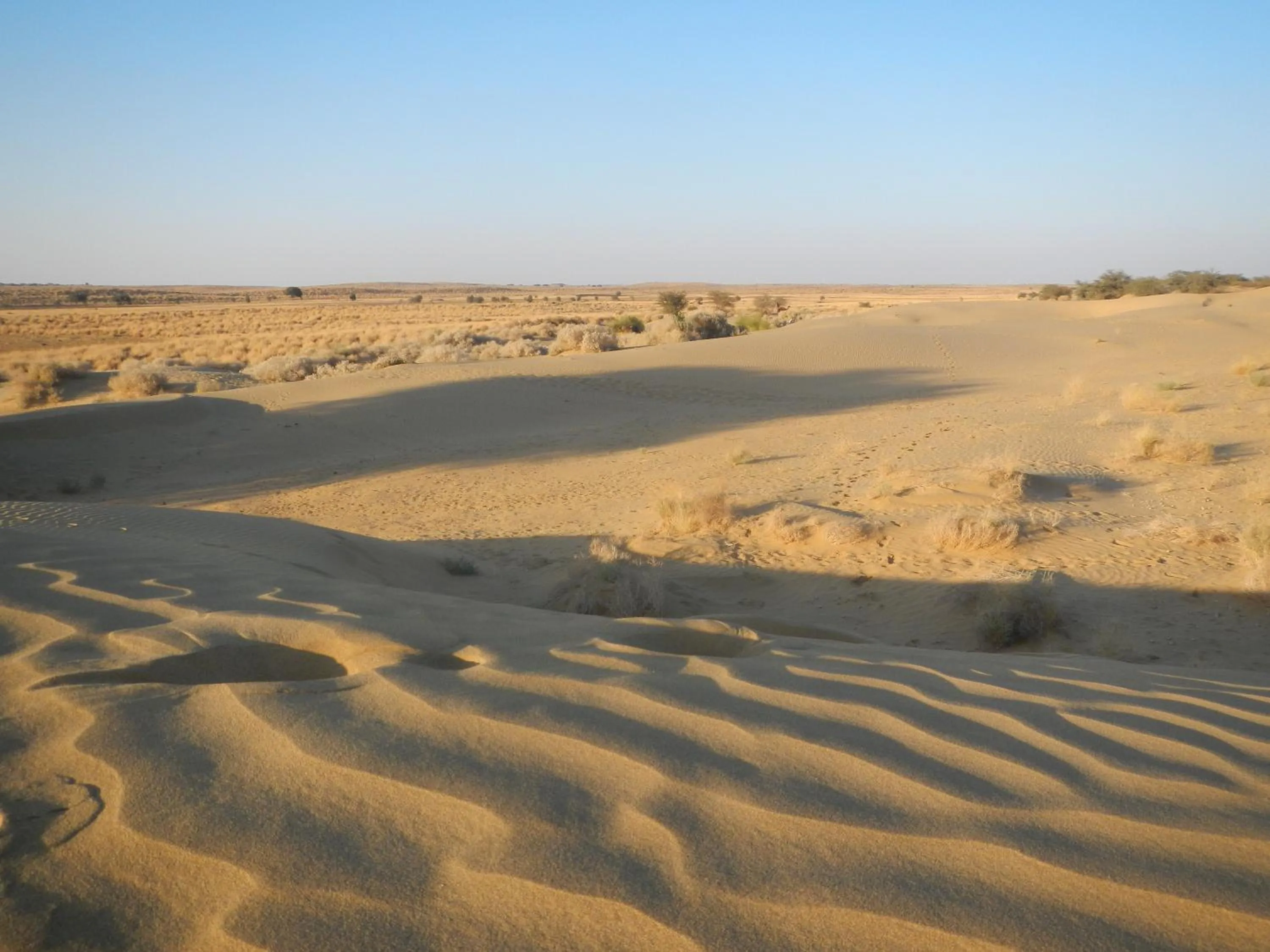 Natural landscape in Hotel Renuka