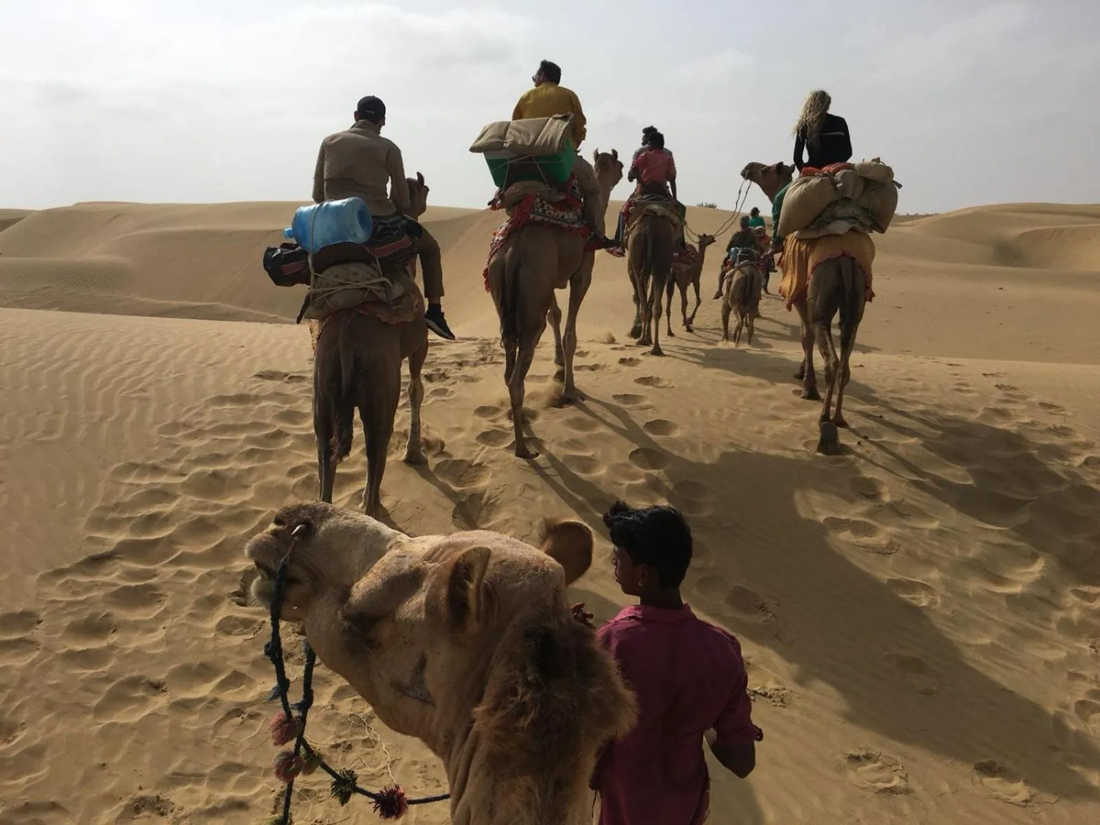 Activities in Hotel Renuka