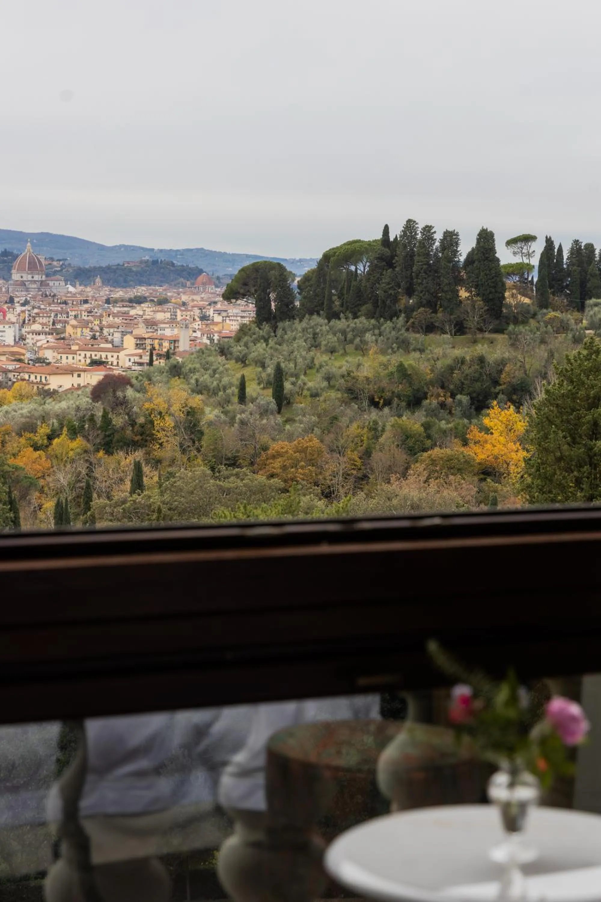 City view in Il Salviatino Firenze