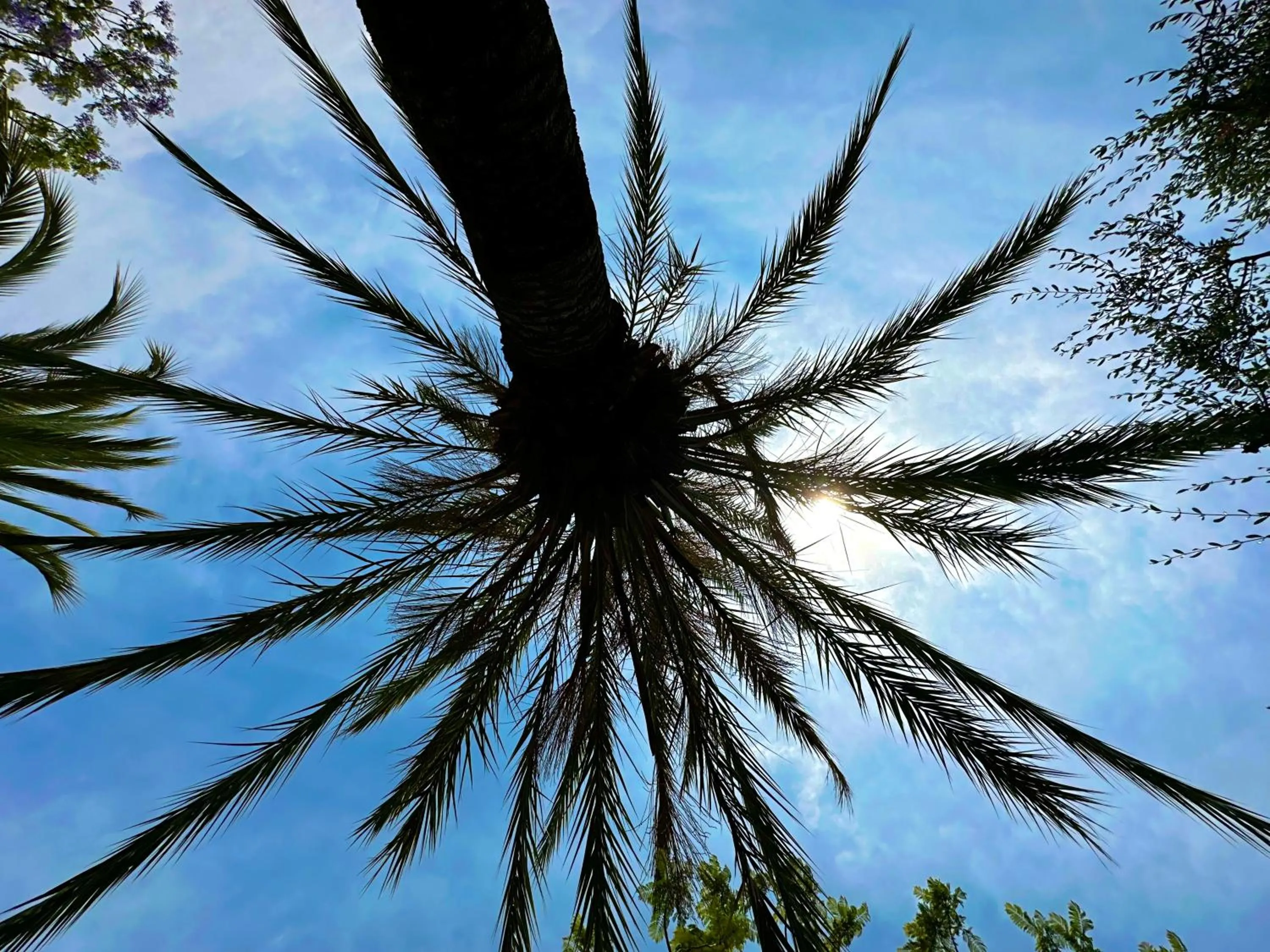 Summer in Relais San Damian