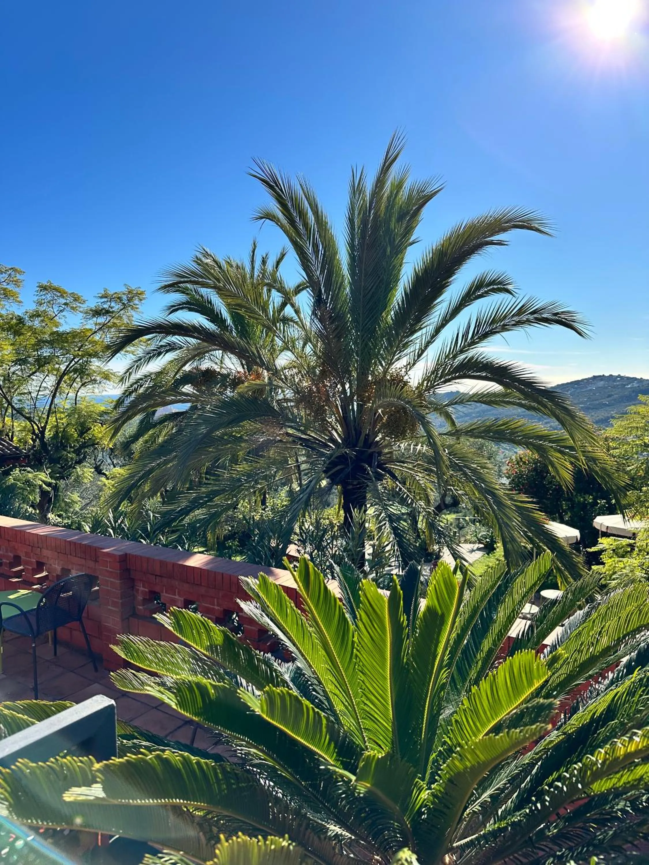 View (from property/room) in Relais San Damian