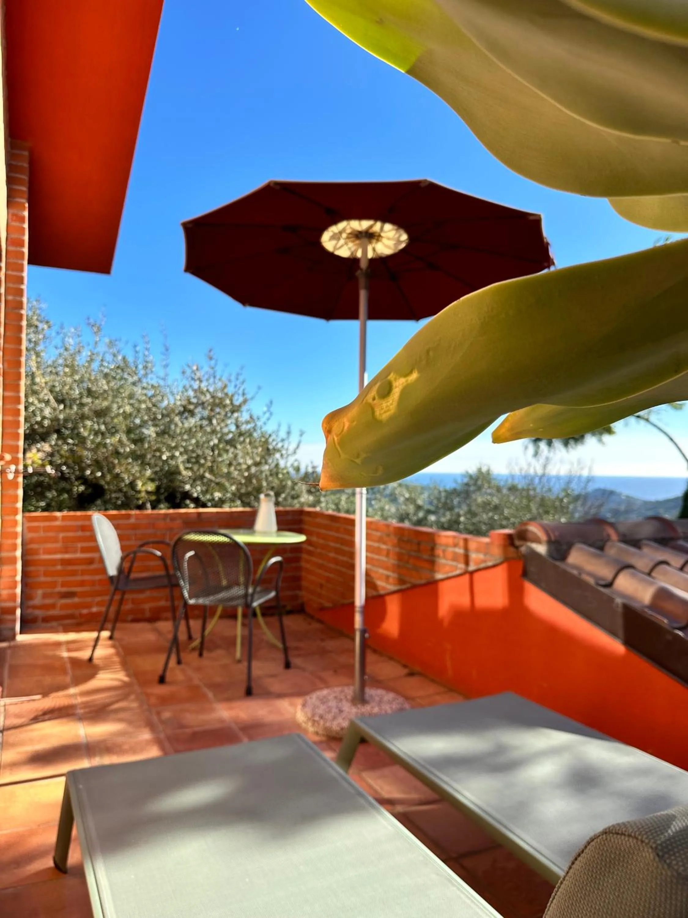 View (from property/room) in Relais San Damian