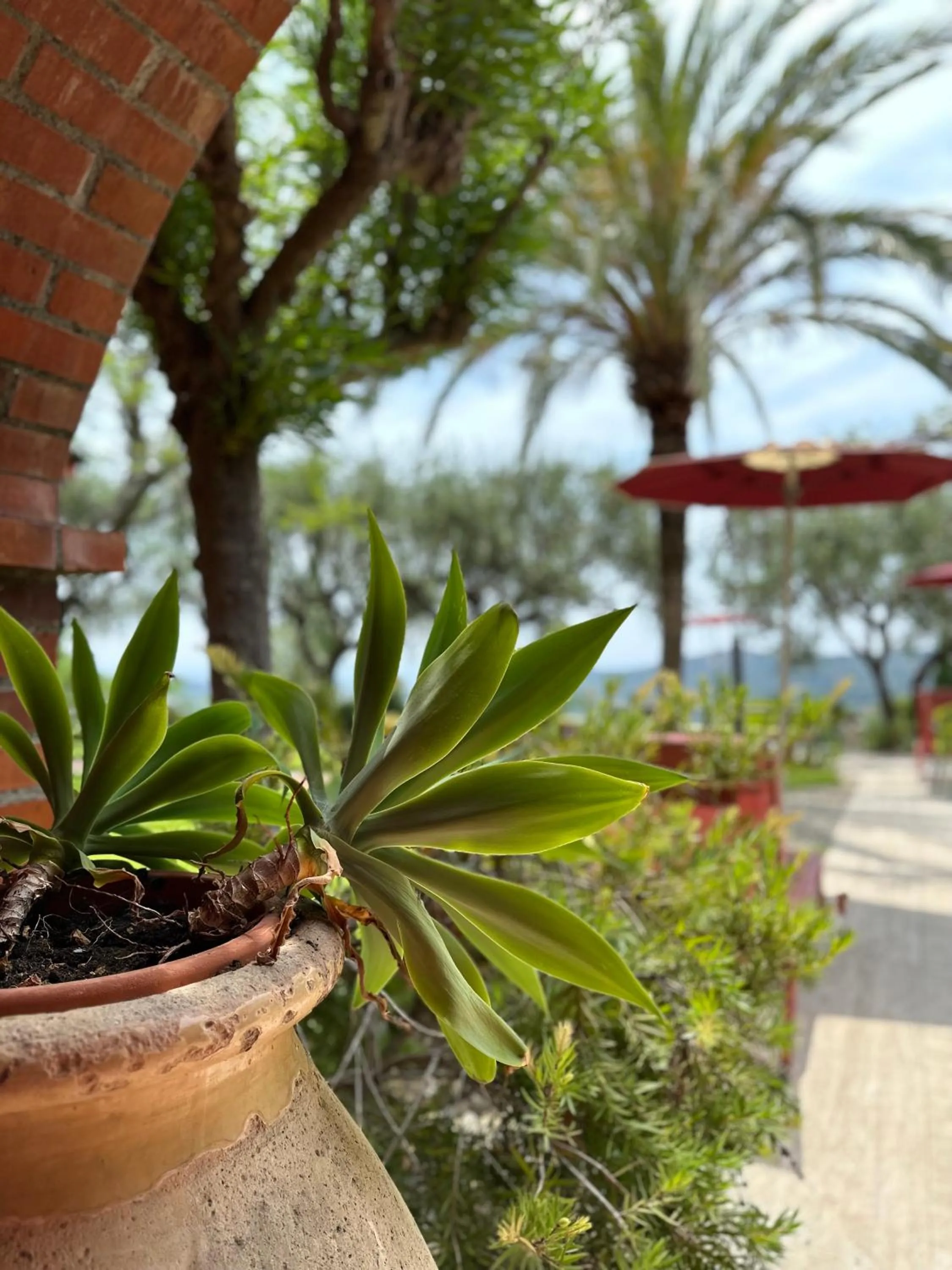 Garden view in Relais San Damian