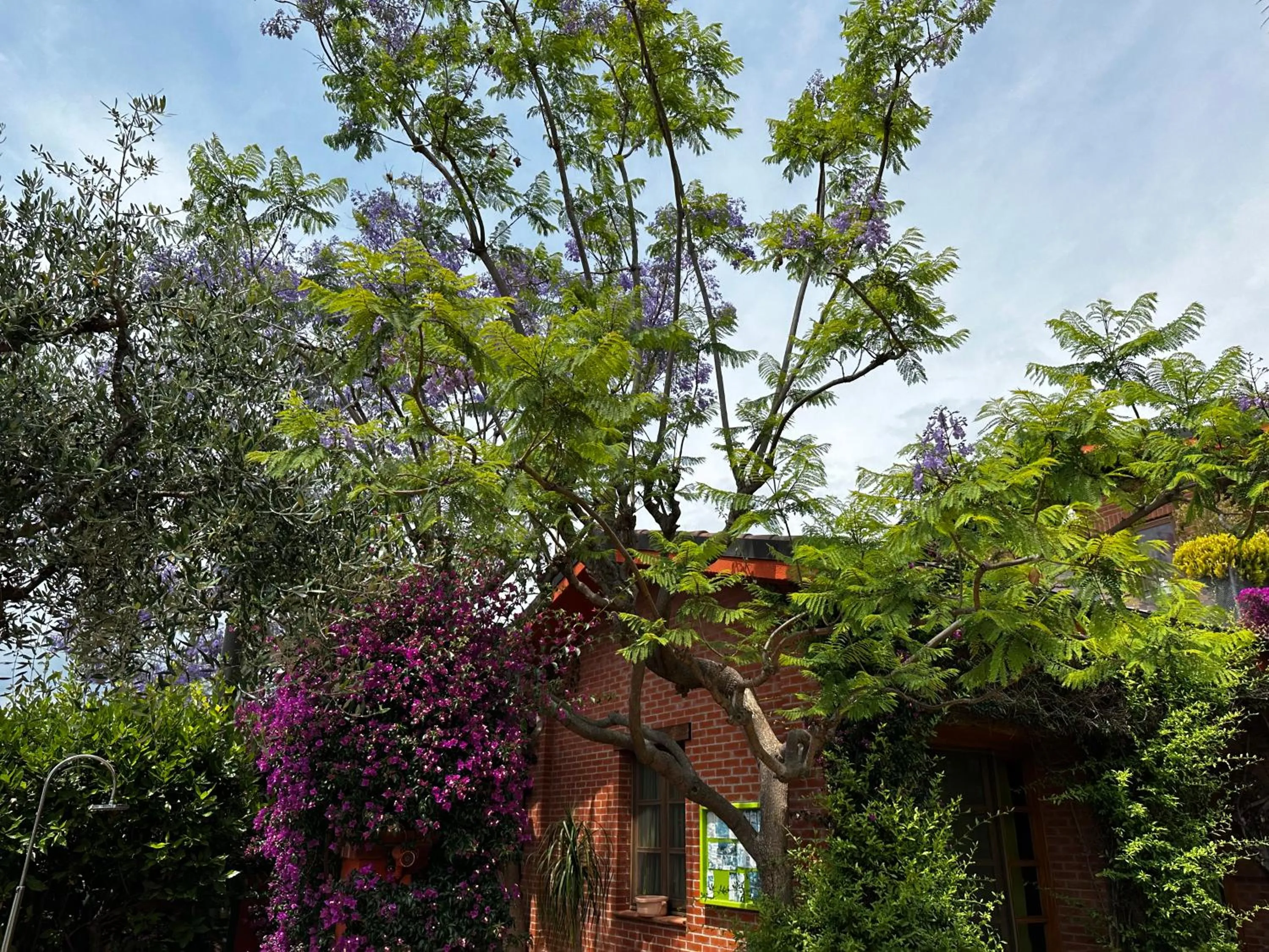 Garden view in Relais San Damian