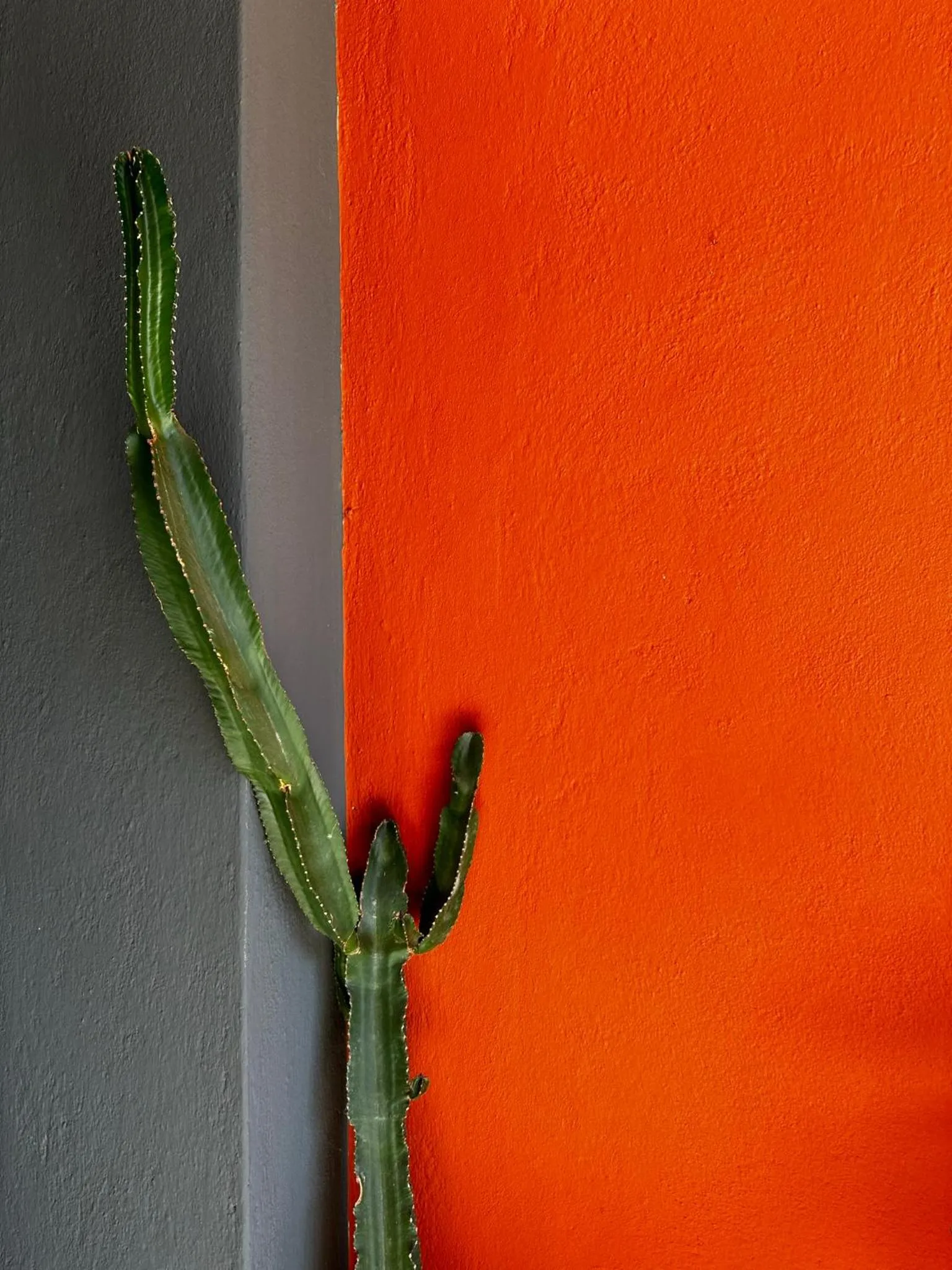 Decorative detail in Relais San Damian