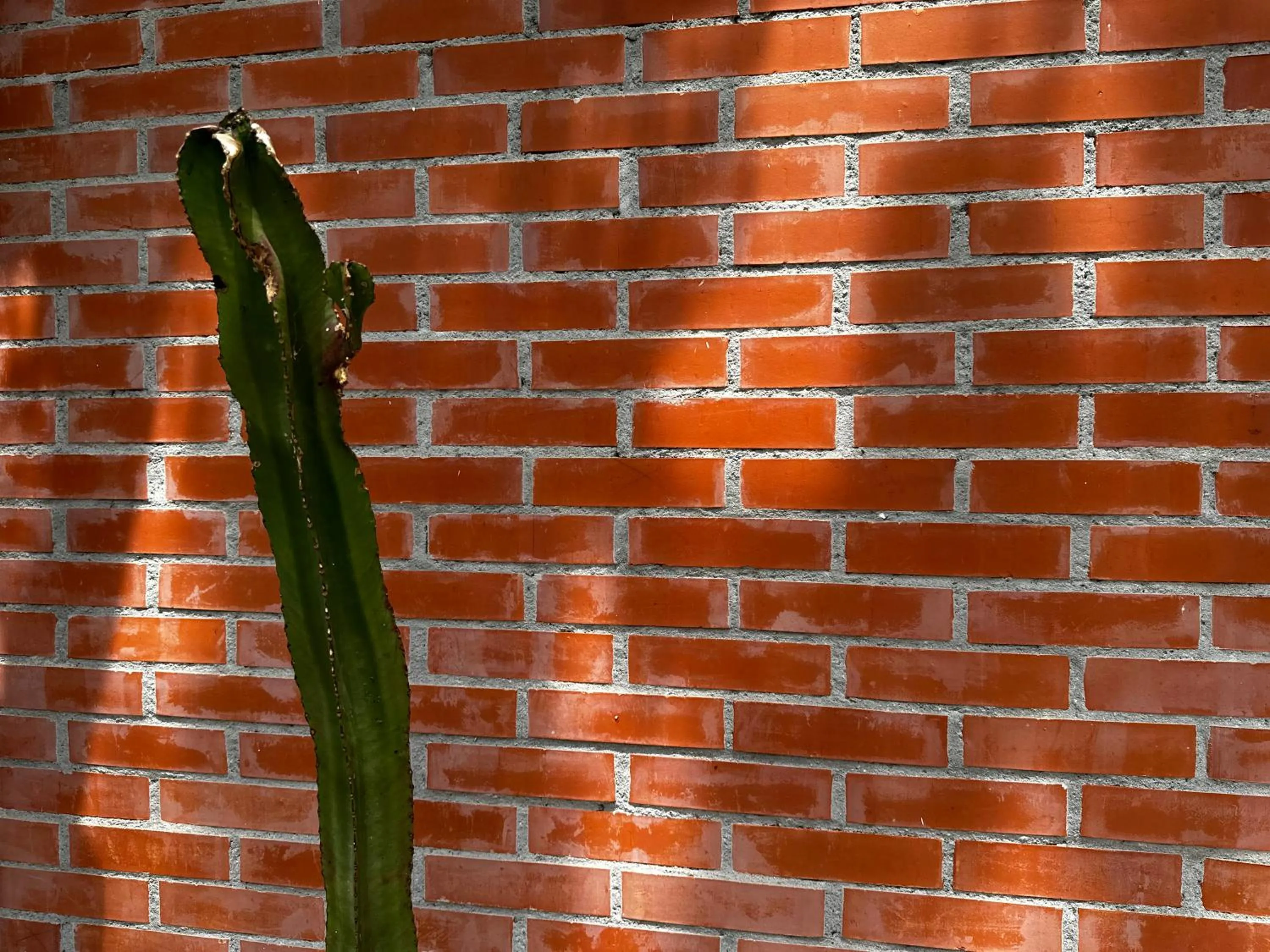 Property building in Relais San Damian