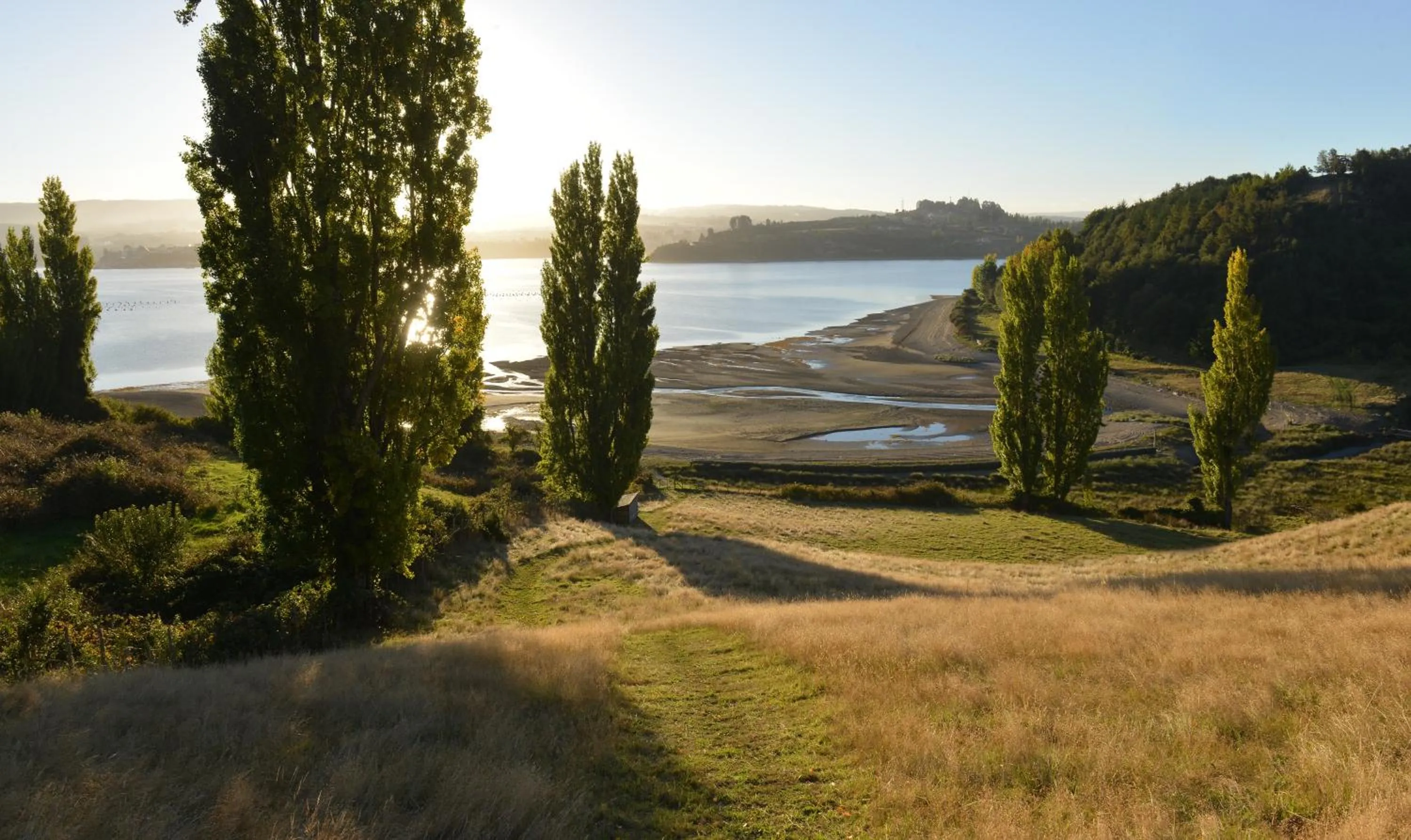 Garden in OCIO Territorial Hotel