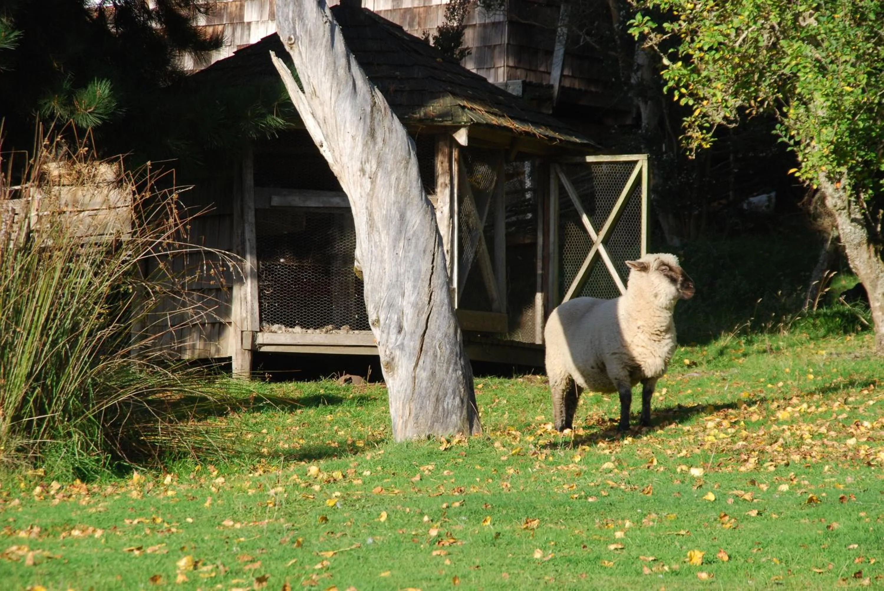 Garden in OCIO Territorial Hotel
