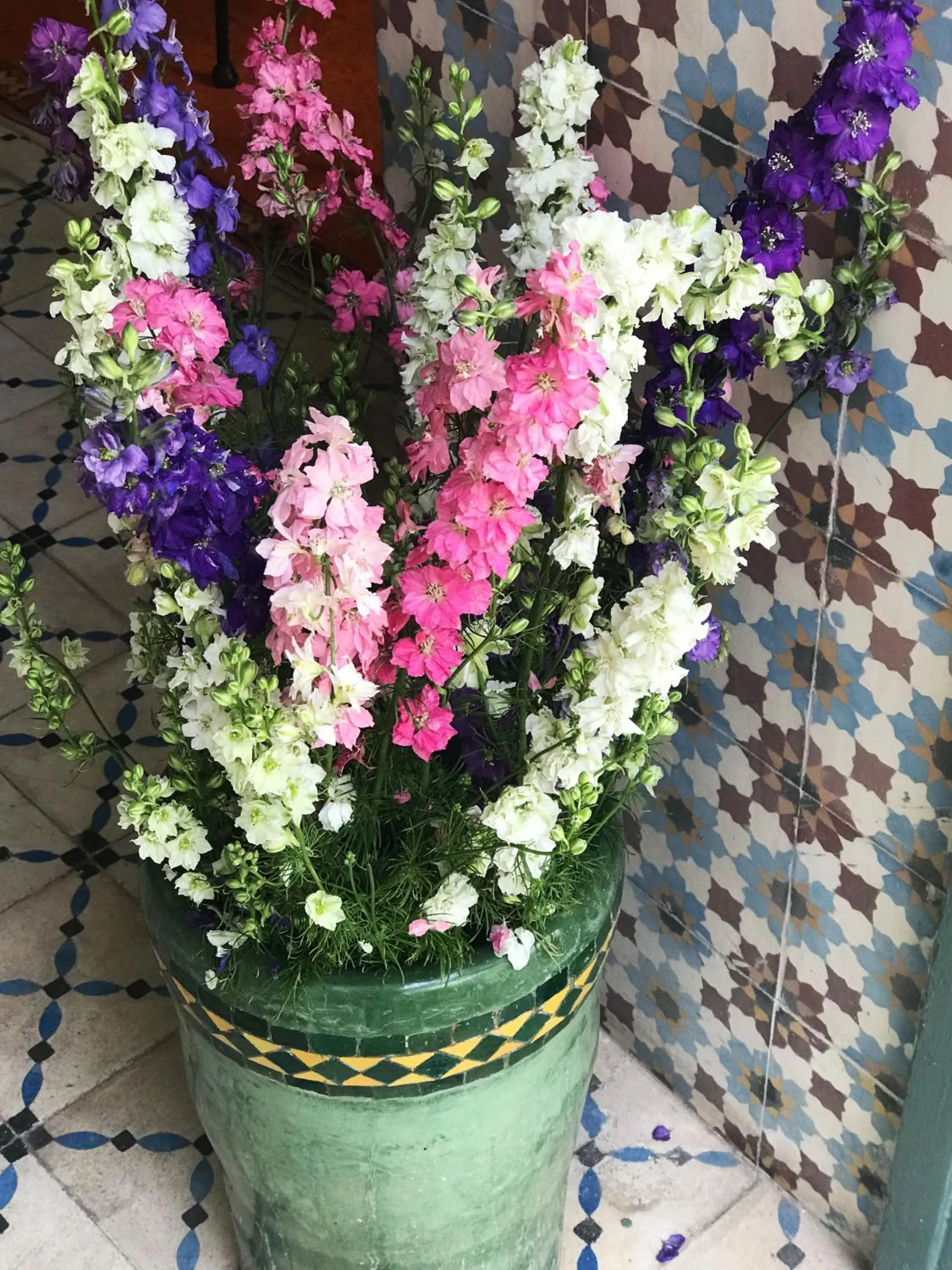 Decorative detail in Riad Orange