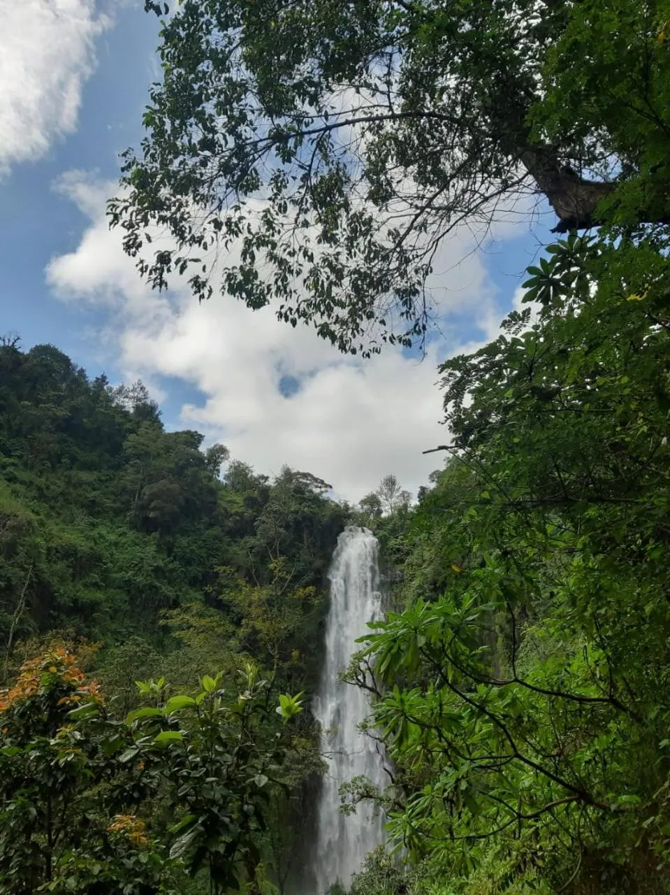 Activities in The Better Inn