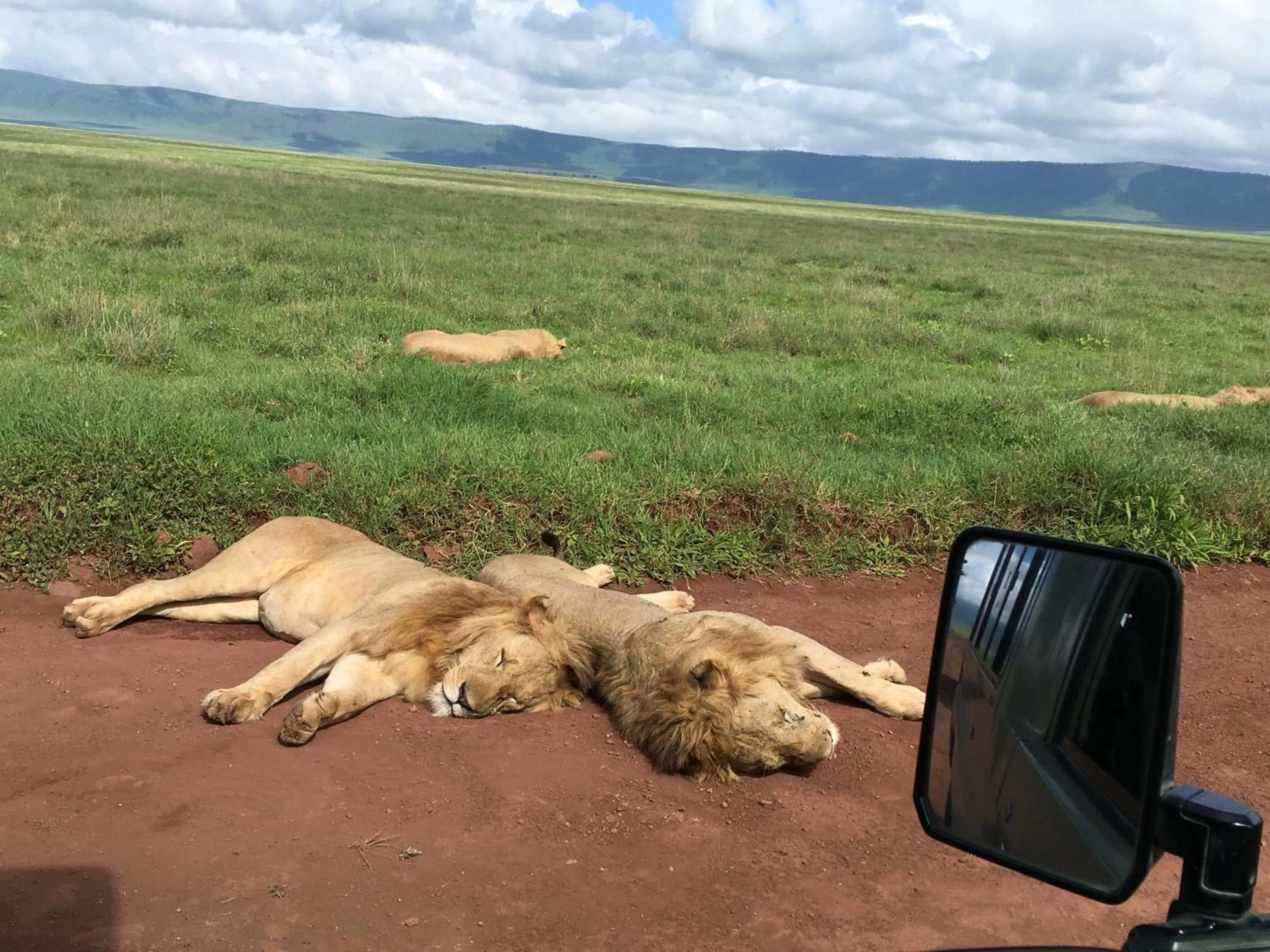 Activities in The Better Inn