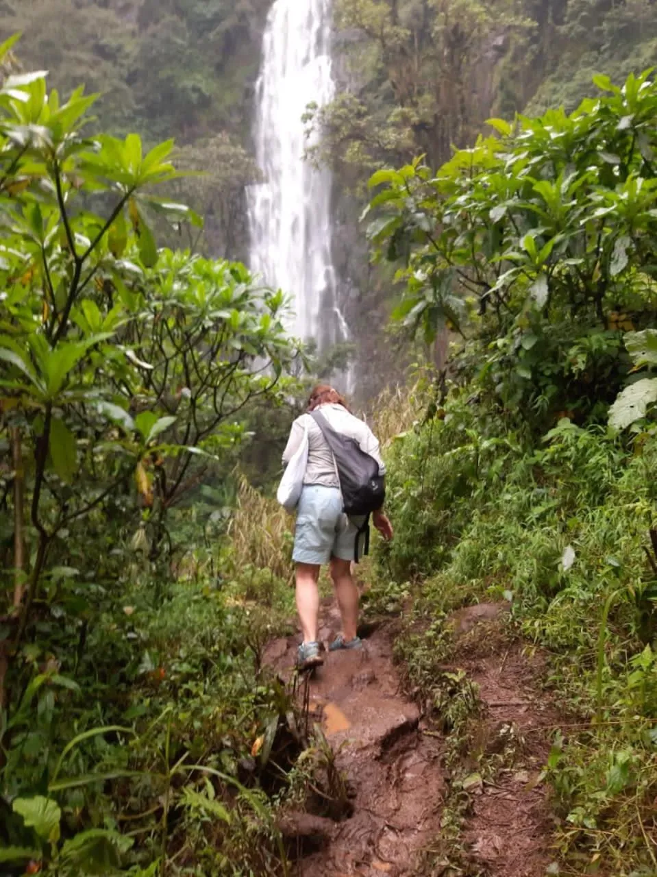 Activities in The Better Inn