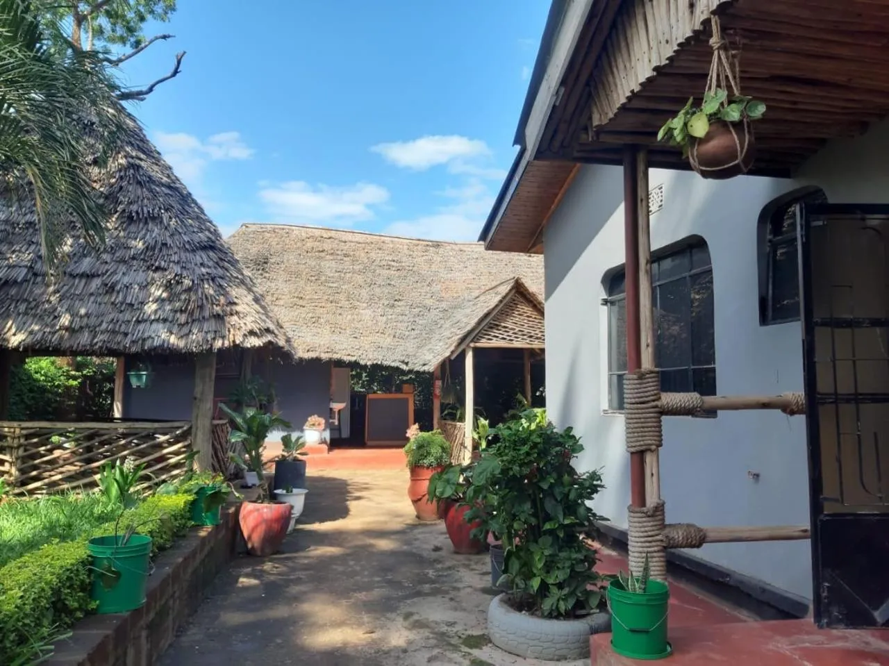 Natural landscape in The Better Inn