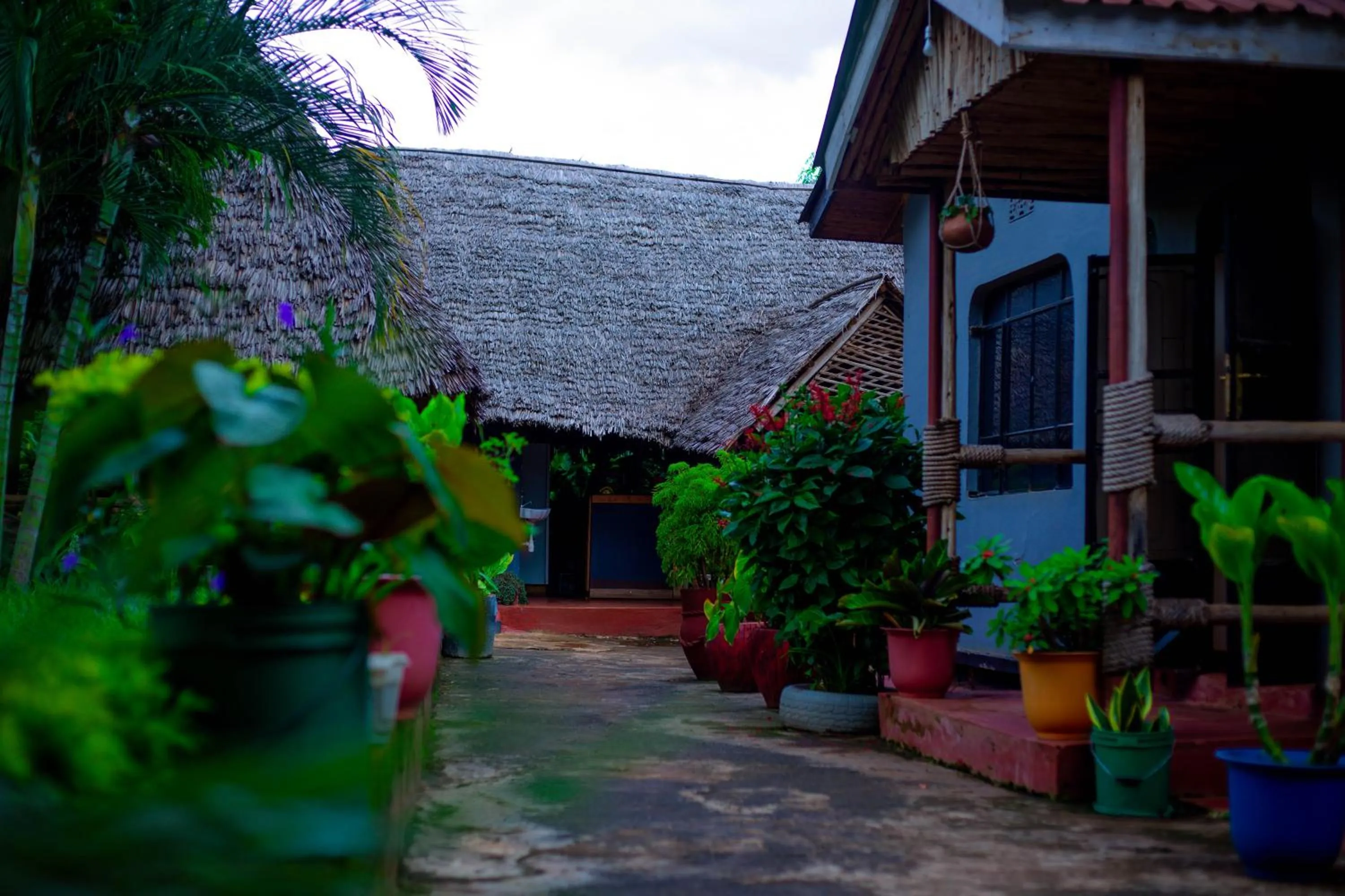 Garden view in The Better Inn