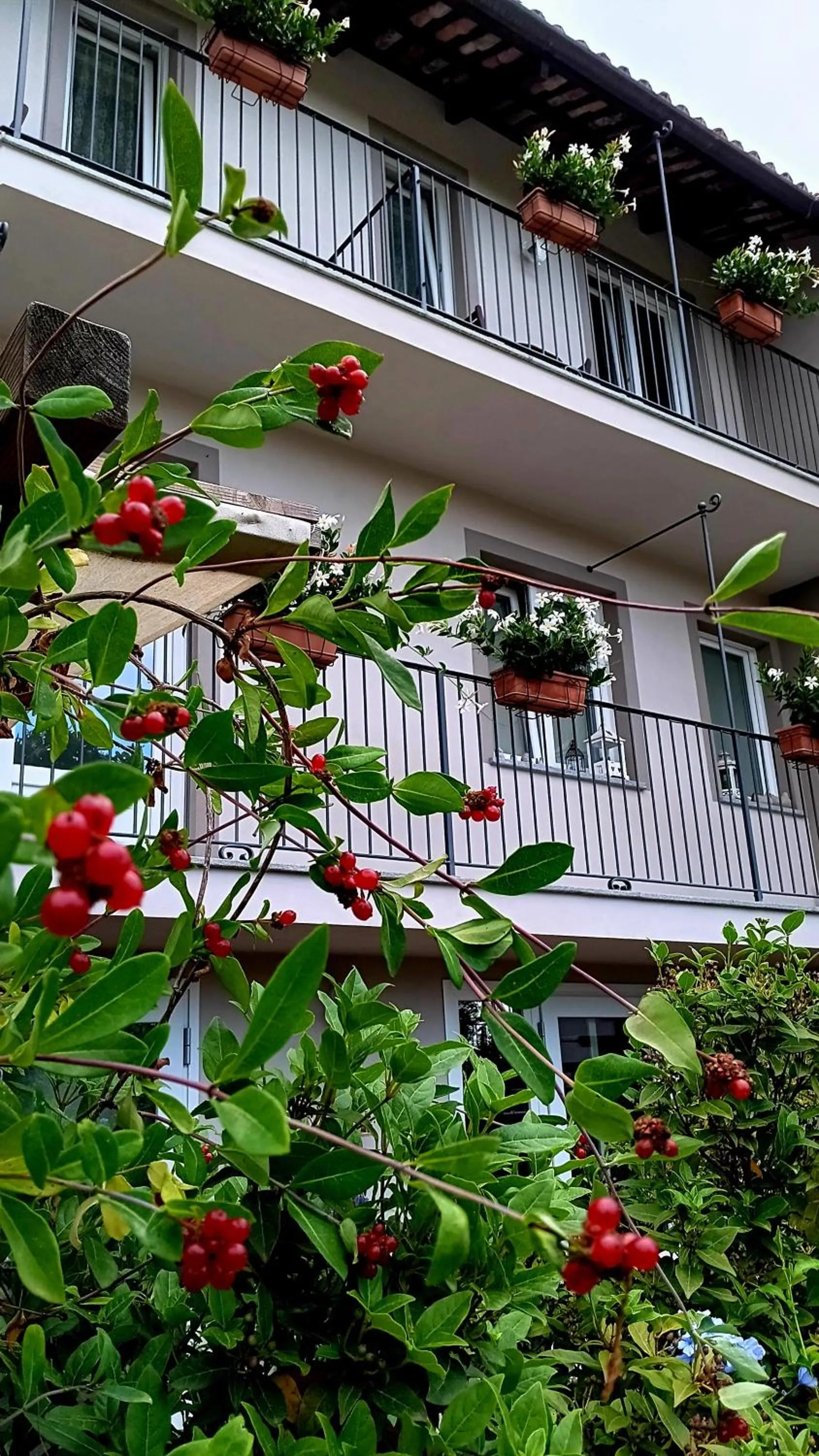 Il bosco delle torte