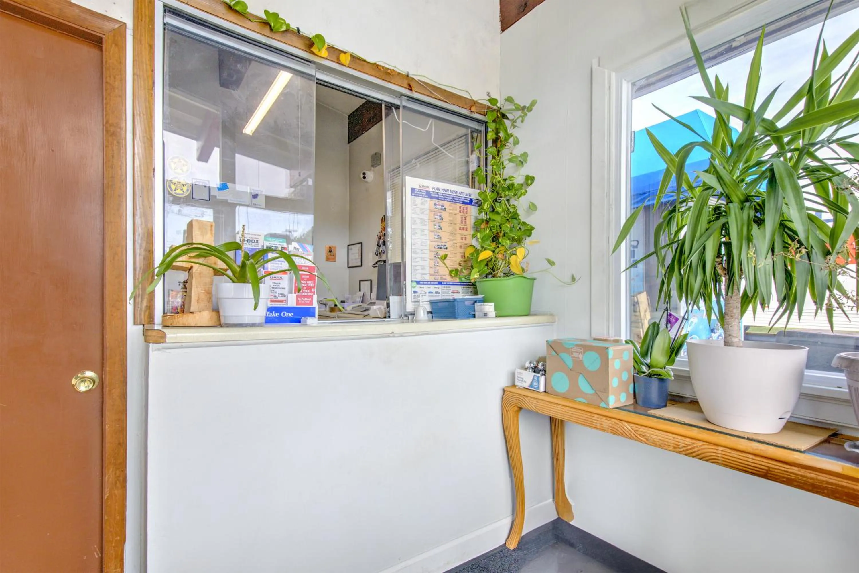 Lobby or reception in OYO Palm Leaf Motel