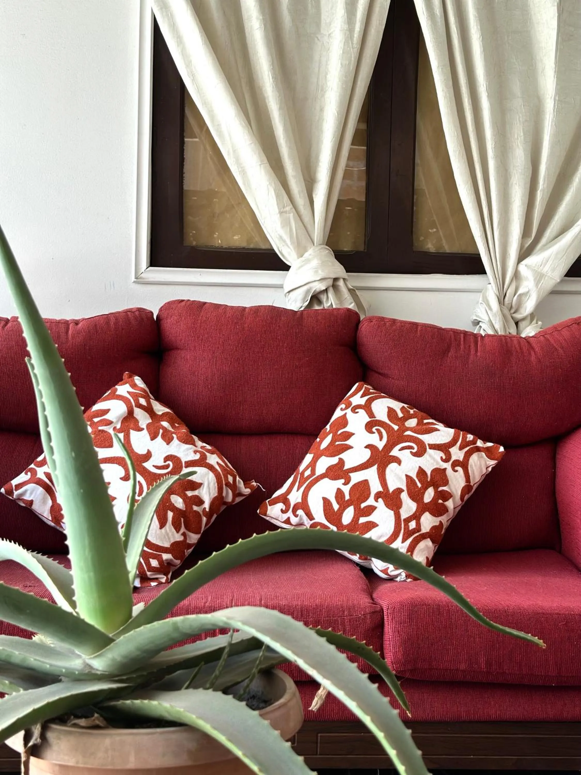 Patio in Hotel Plaza Colon